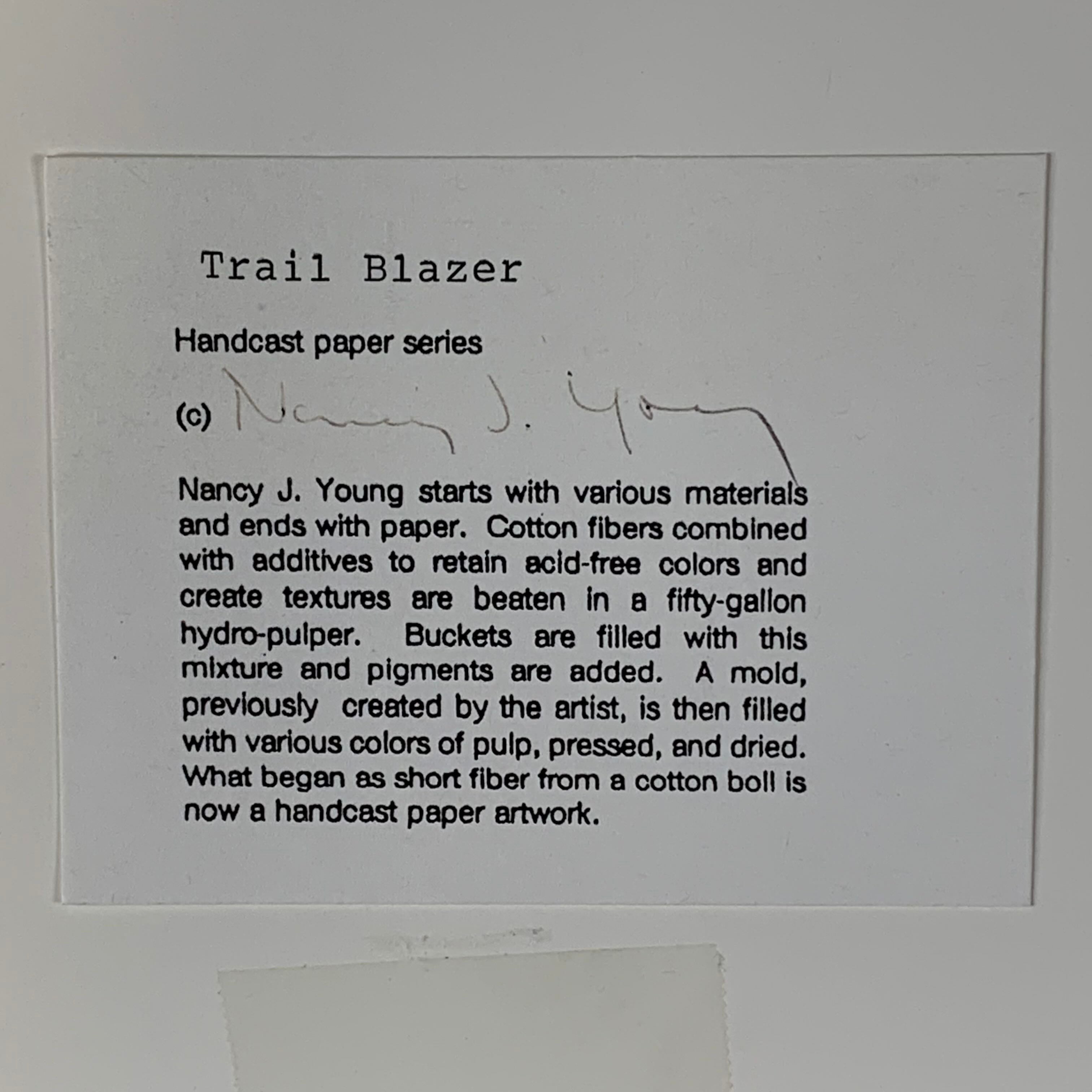 14.5"x 15" Trail Blazer by Nancy J Young Framed Mixed Media
