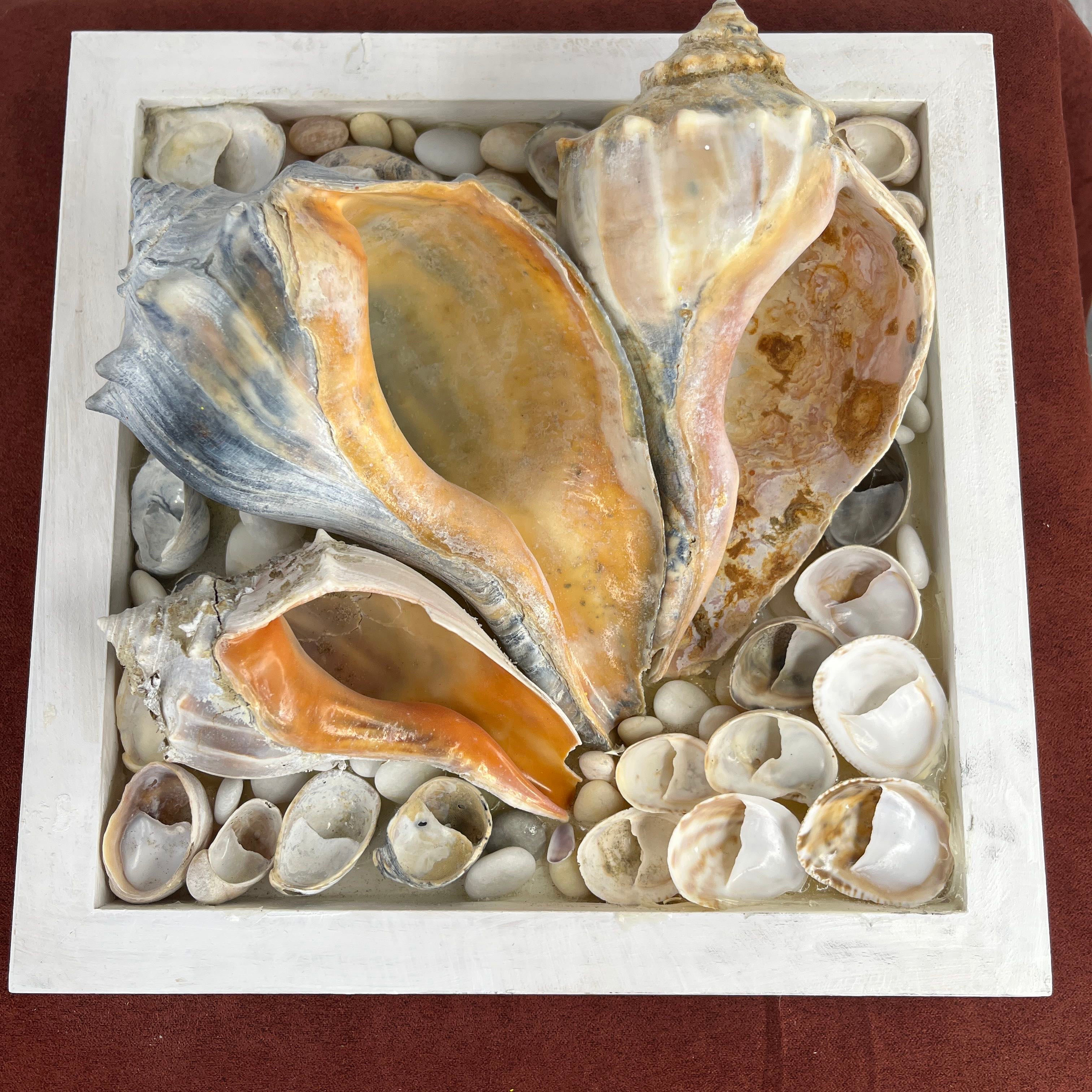 Knobbed Shell 3D Shell Colage by Sue Binkley Tatum 2015 Wall Art