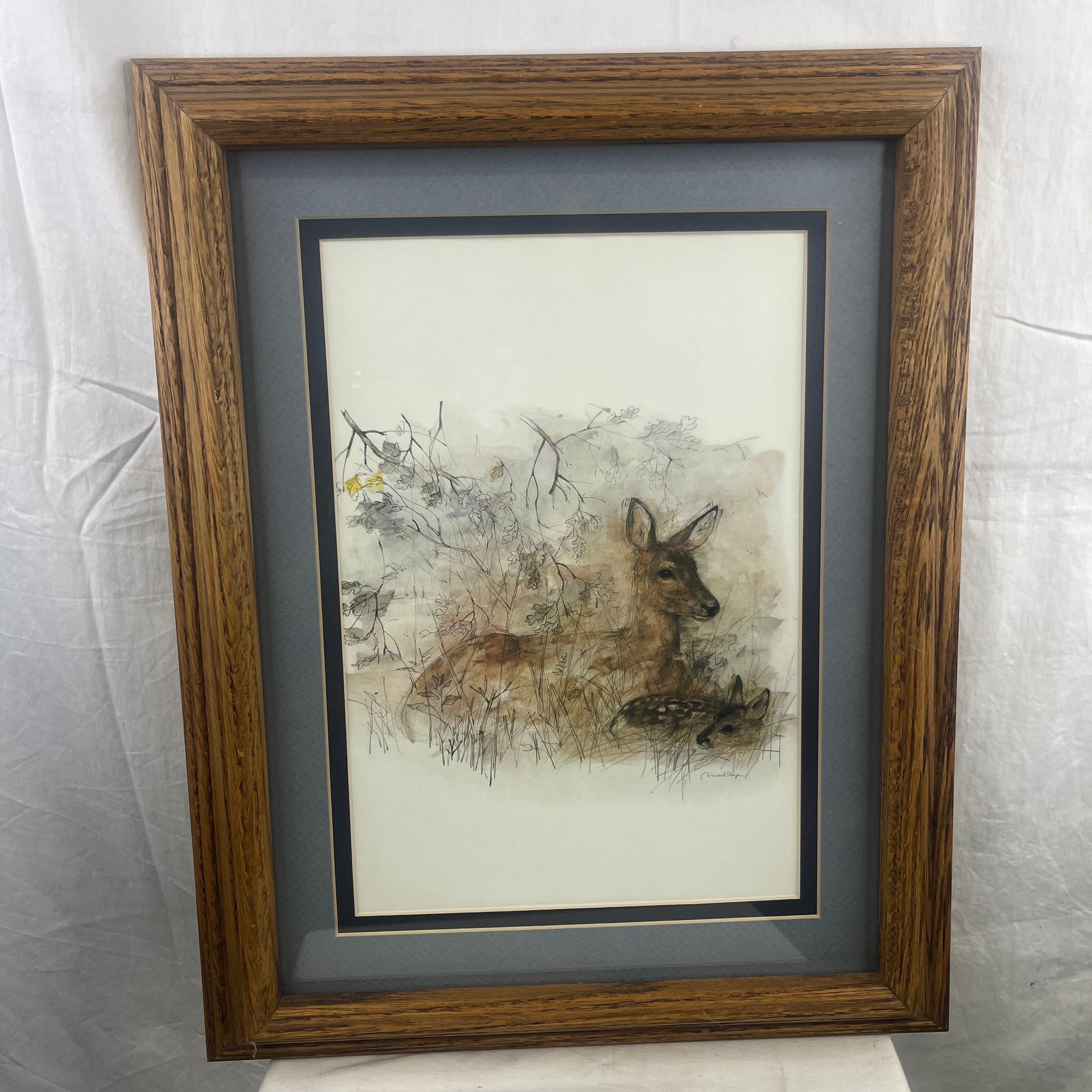 Doe and Fawn by Mads Stage Double Matted Pencil and Watercolor on Paper Signed Framed Print