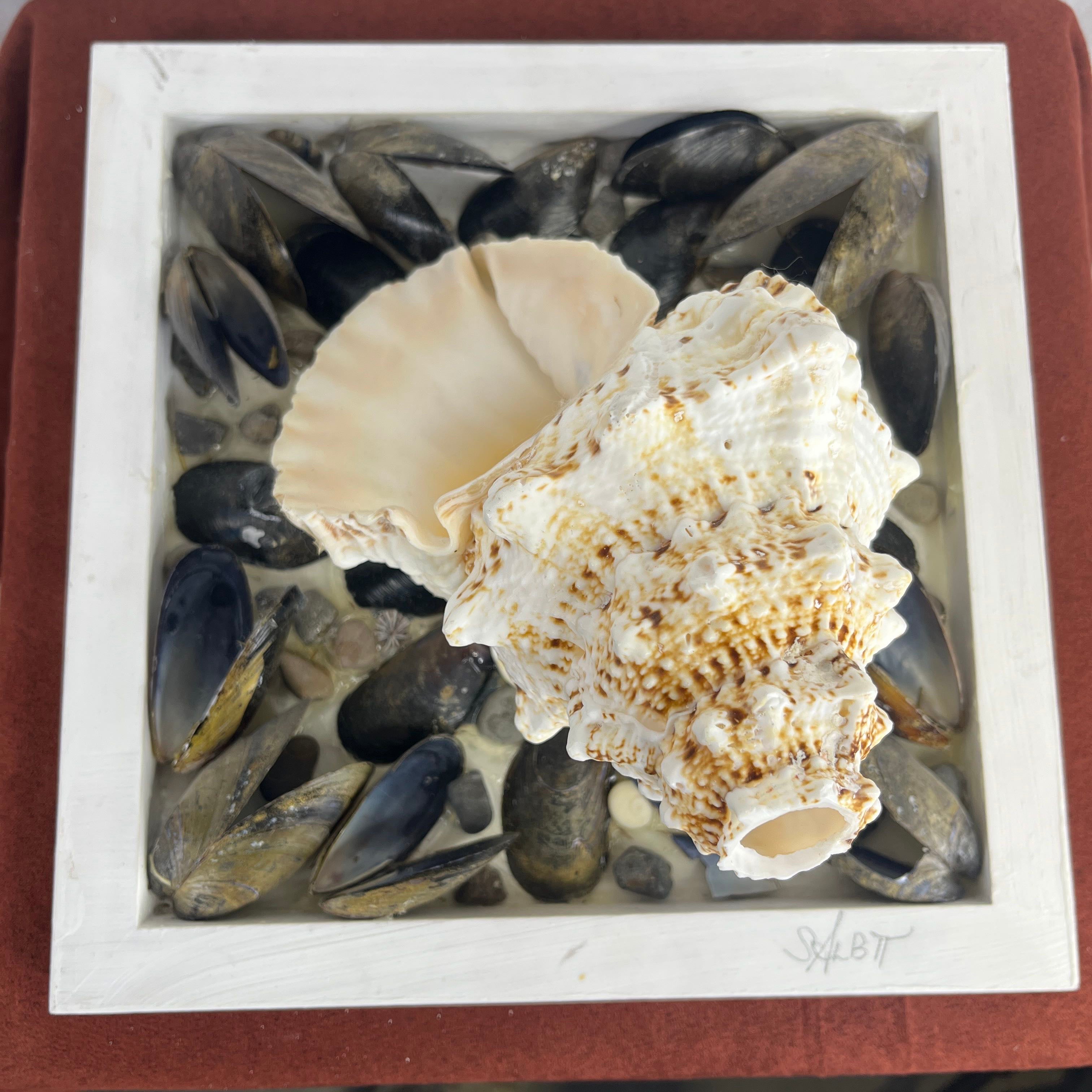 Seahorse Conch 3D Shell Collage by Sue Binkley Tatum 2015 Wall Art