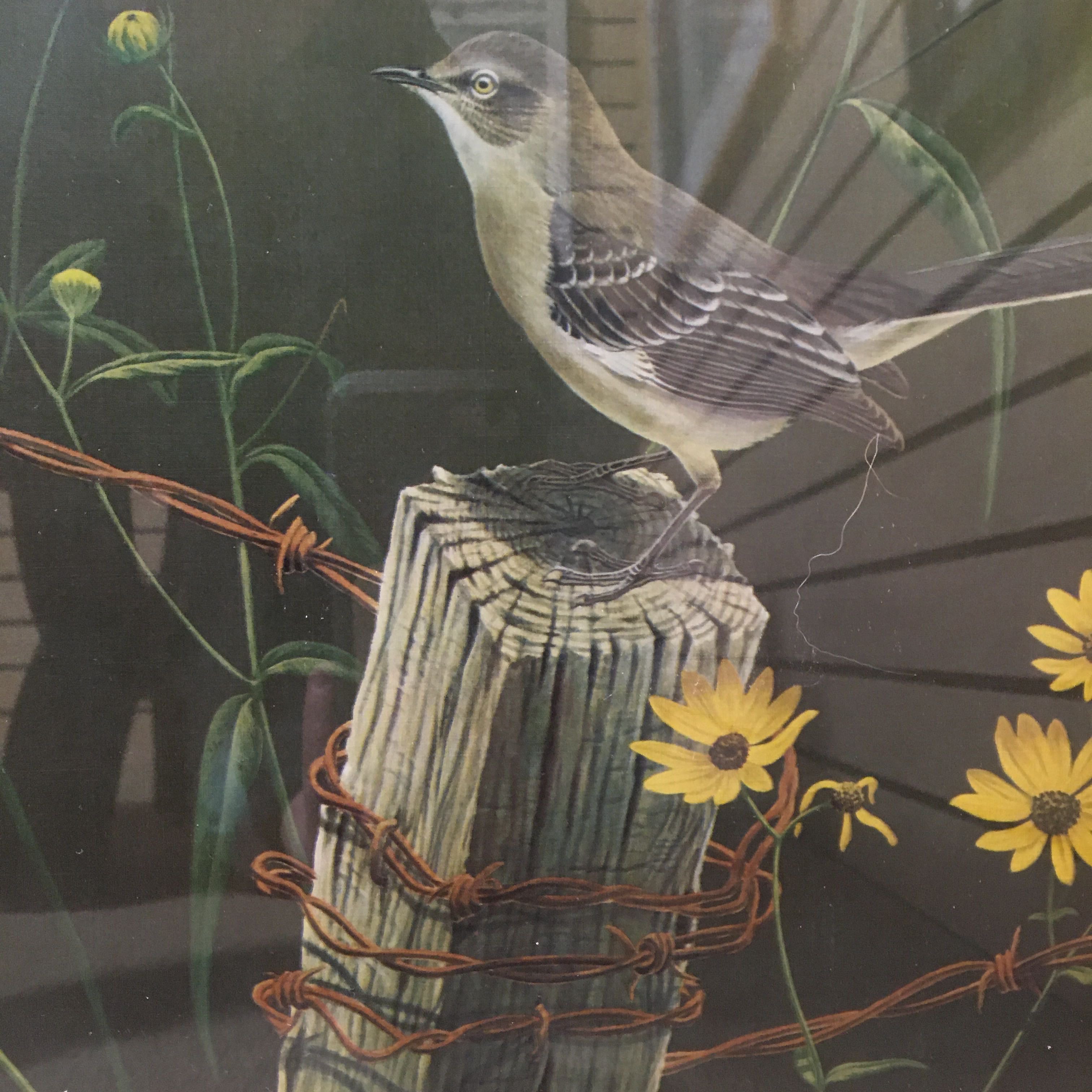 "Mocking Birds and African Daisies" John O'Neill 1974 Vintage Print of Lithograph Gold Frame Wall Art