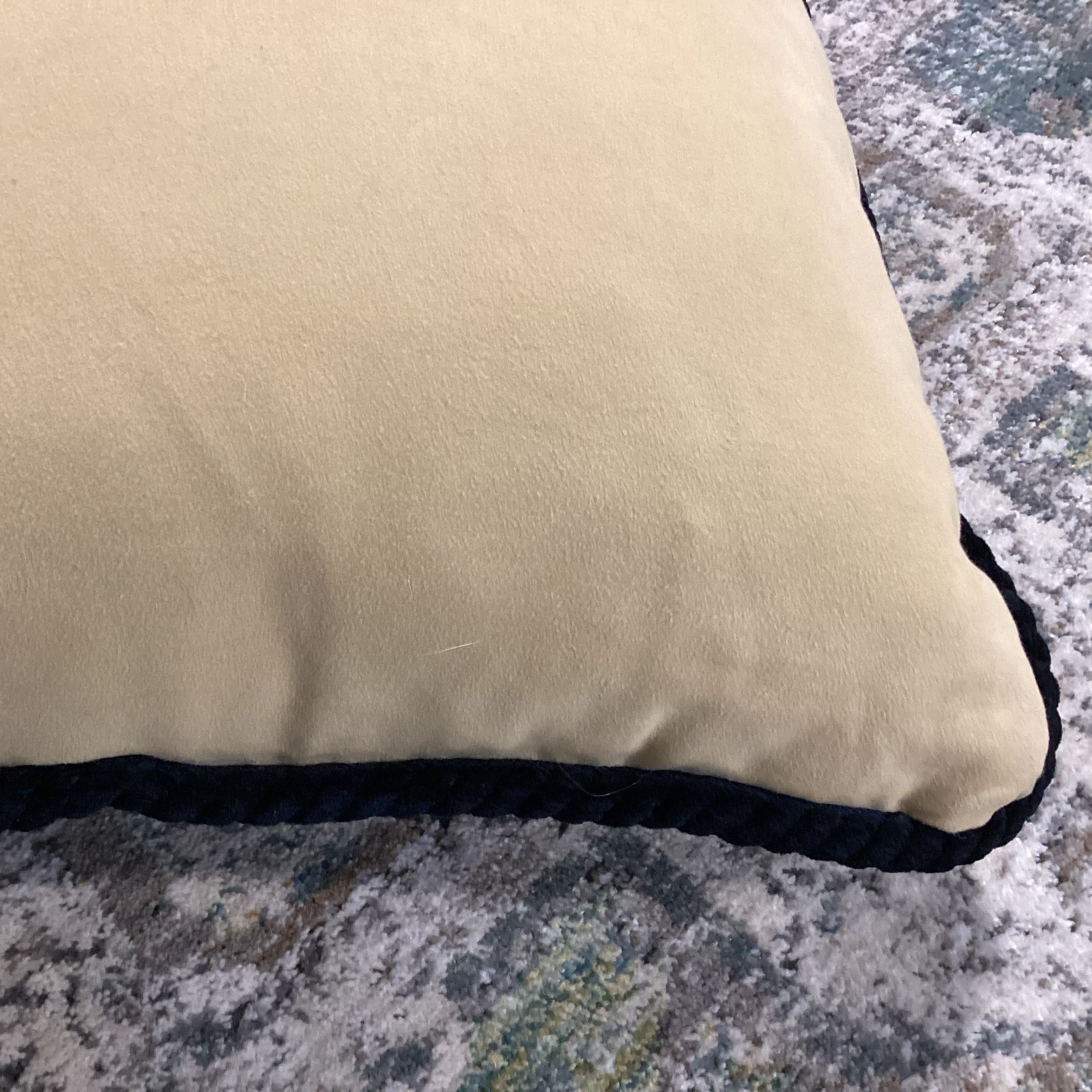 Wheat with Black Velvet Rope Piping Down Accent Pillow