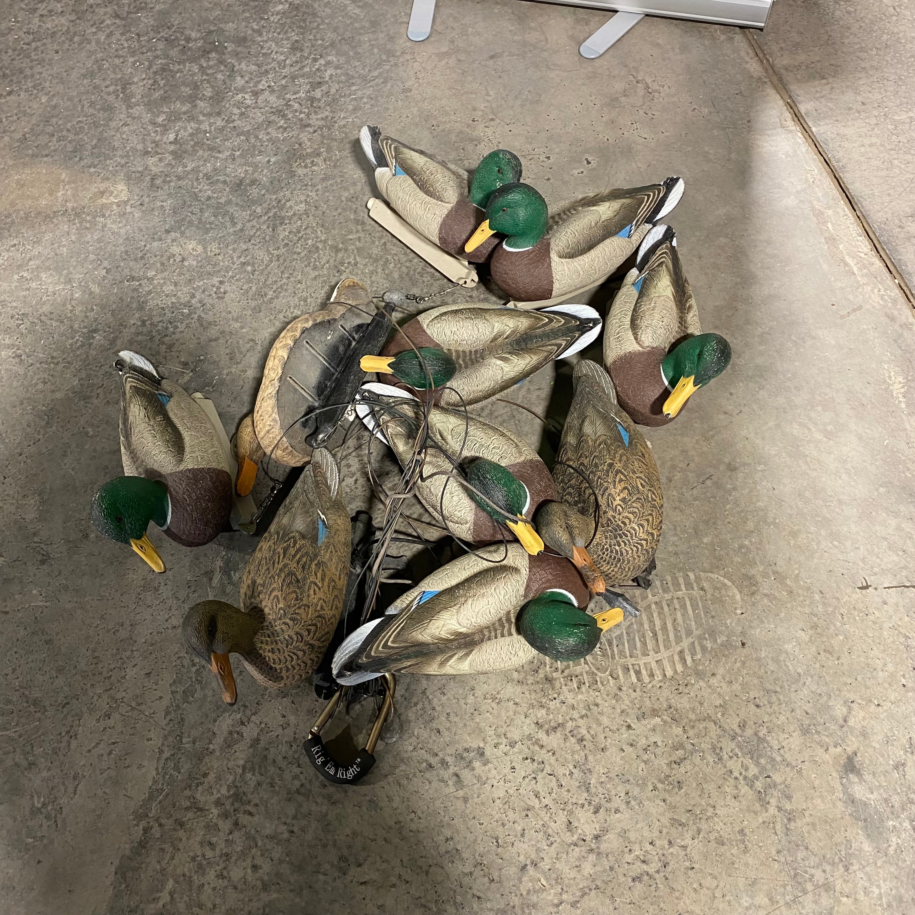 Cabela's Topflight Mallard Duck Decoy Strand (10 Decoys)