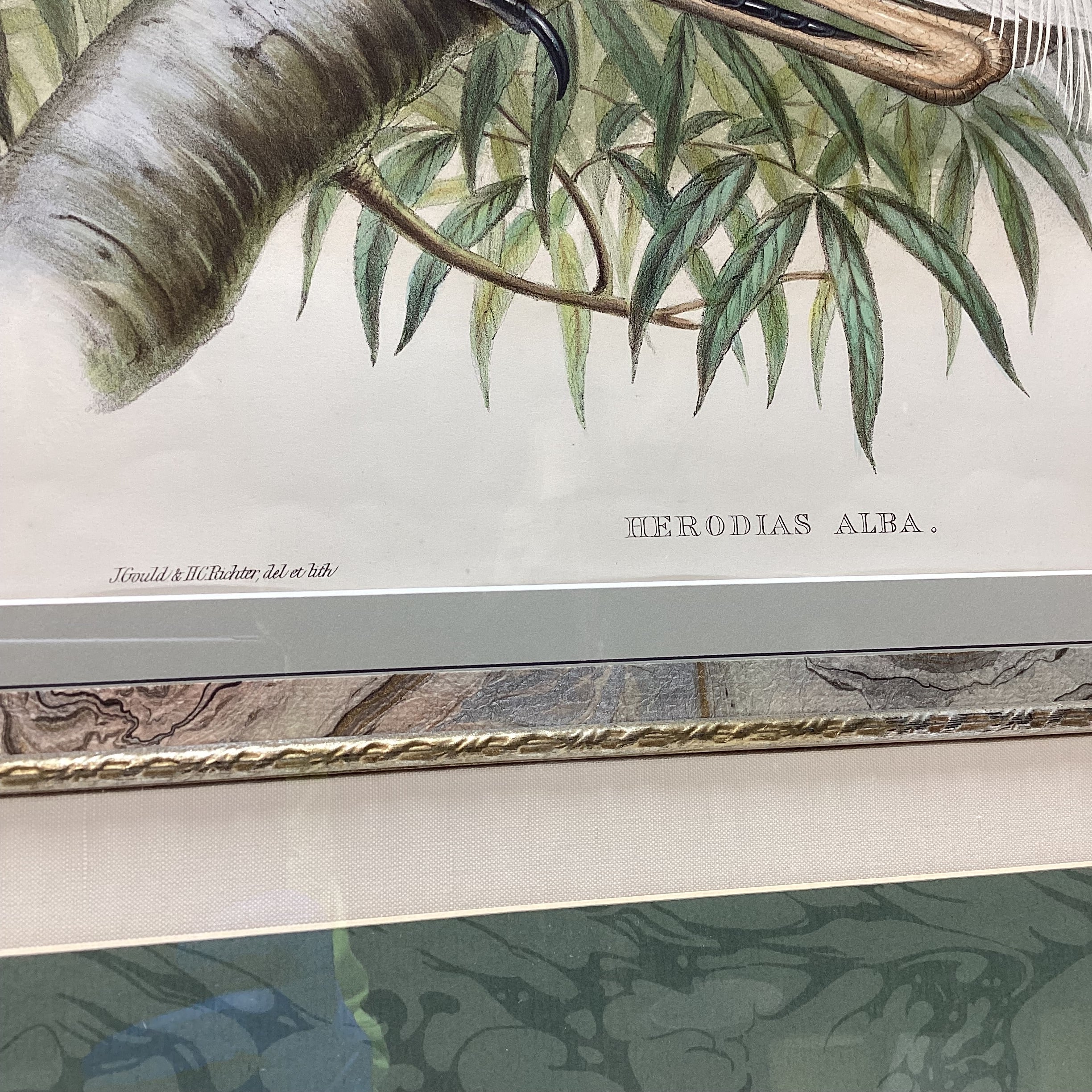 Henry Constanine Richter "Great White Egret" Hand Colored Lithograph 38" x 31"