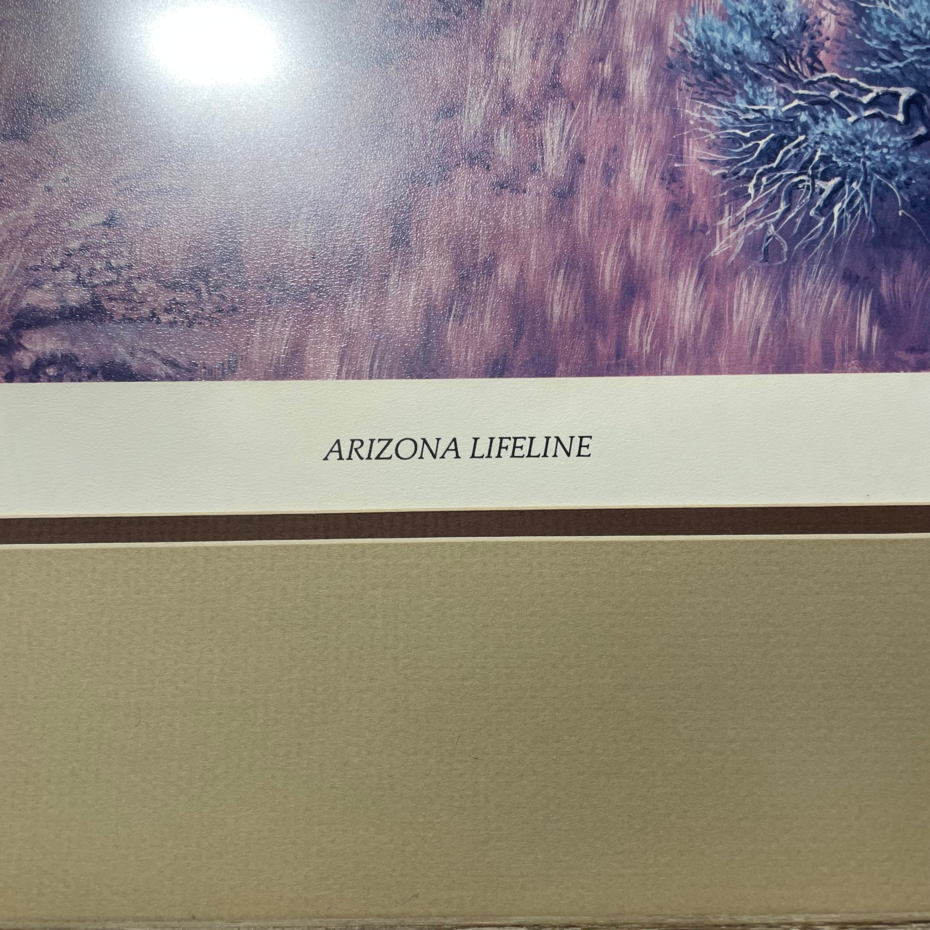 Fred Lucas "Arizona Lifeline" Print In Wooden Frame 43 1/2" x 34"