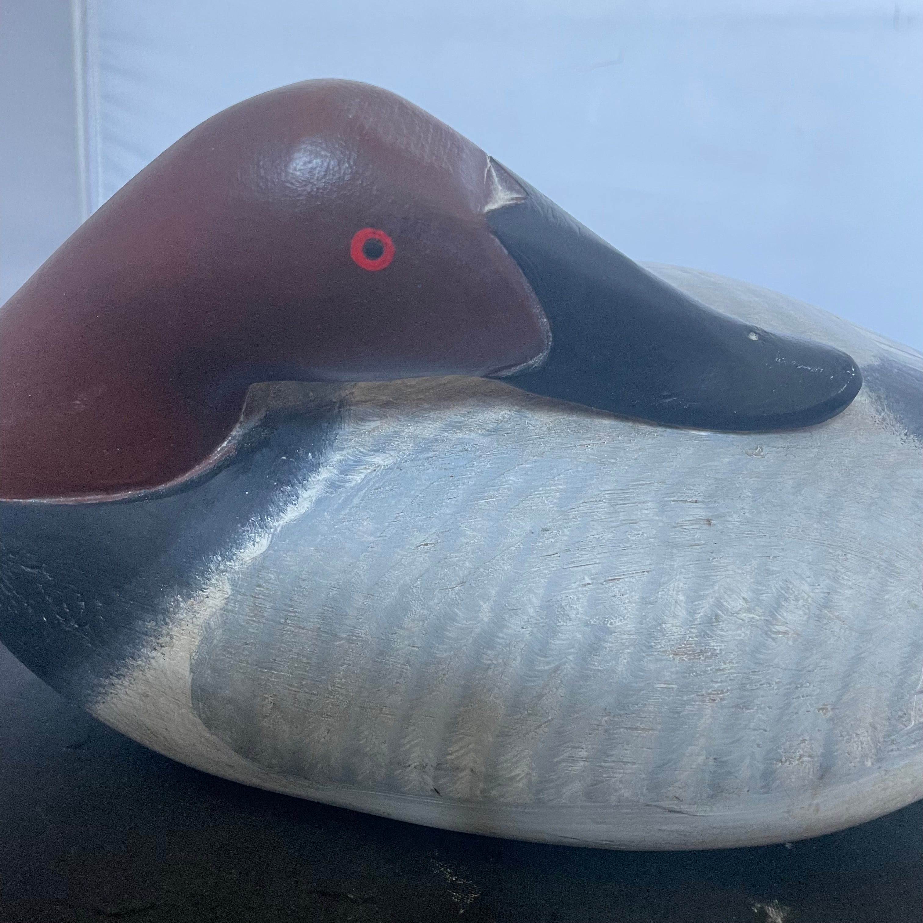 Vintage Handcarved Canvasback Drake "Sleeper" Decoy Signed by Artist, 14"x 7"x 5"