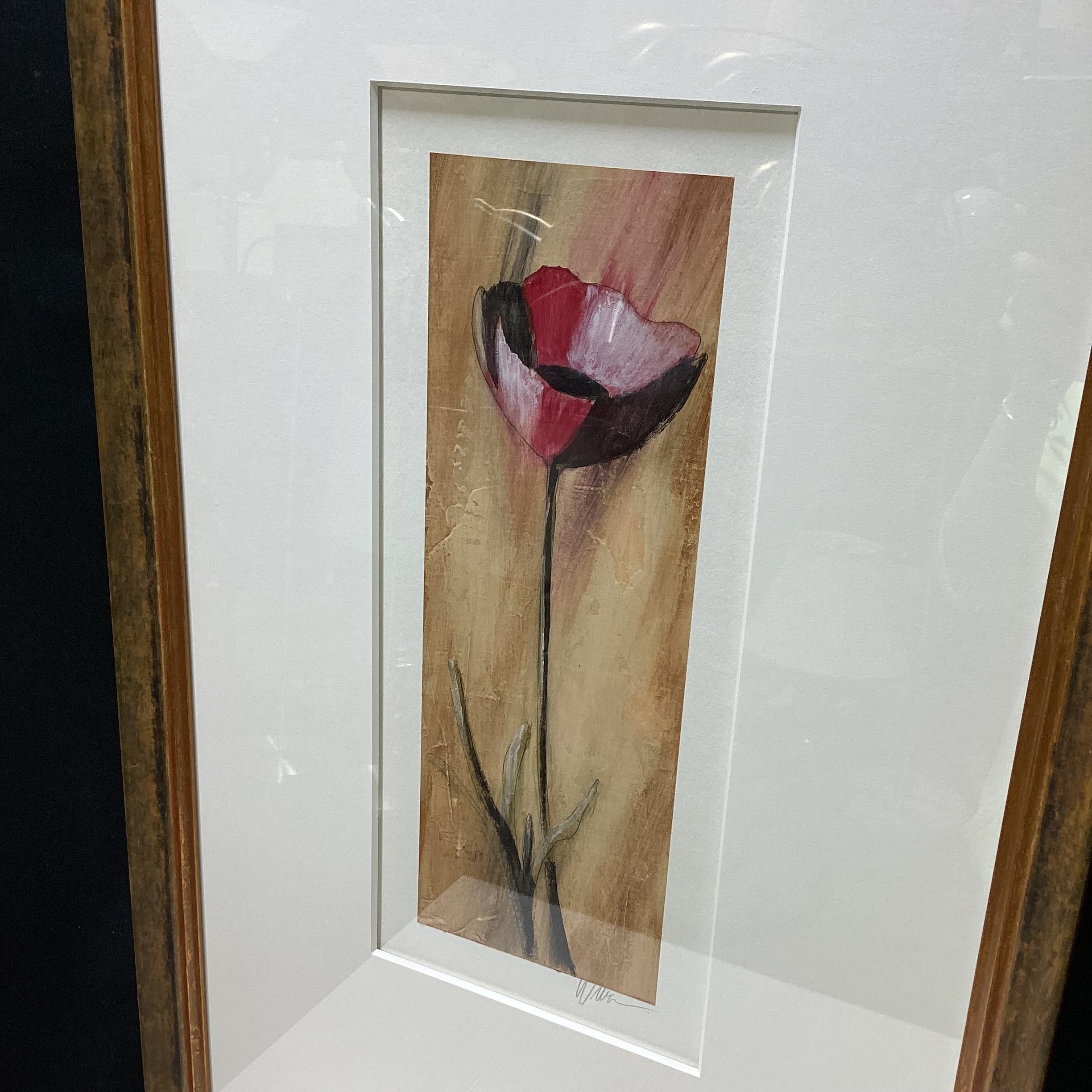 Wilbur Signed Red Poppy 20" x 35"