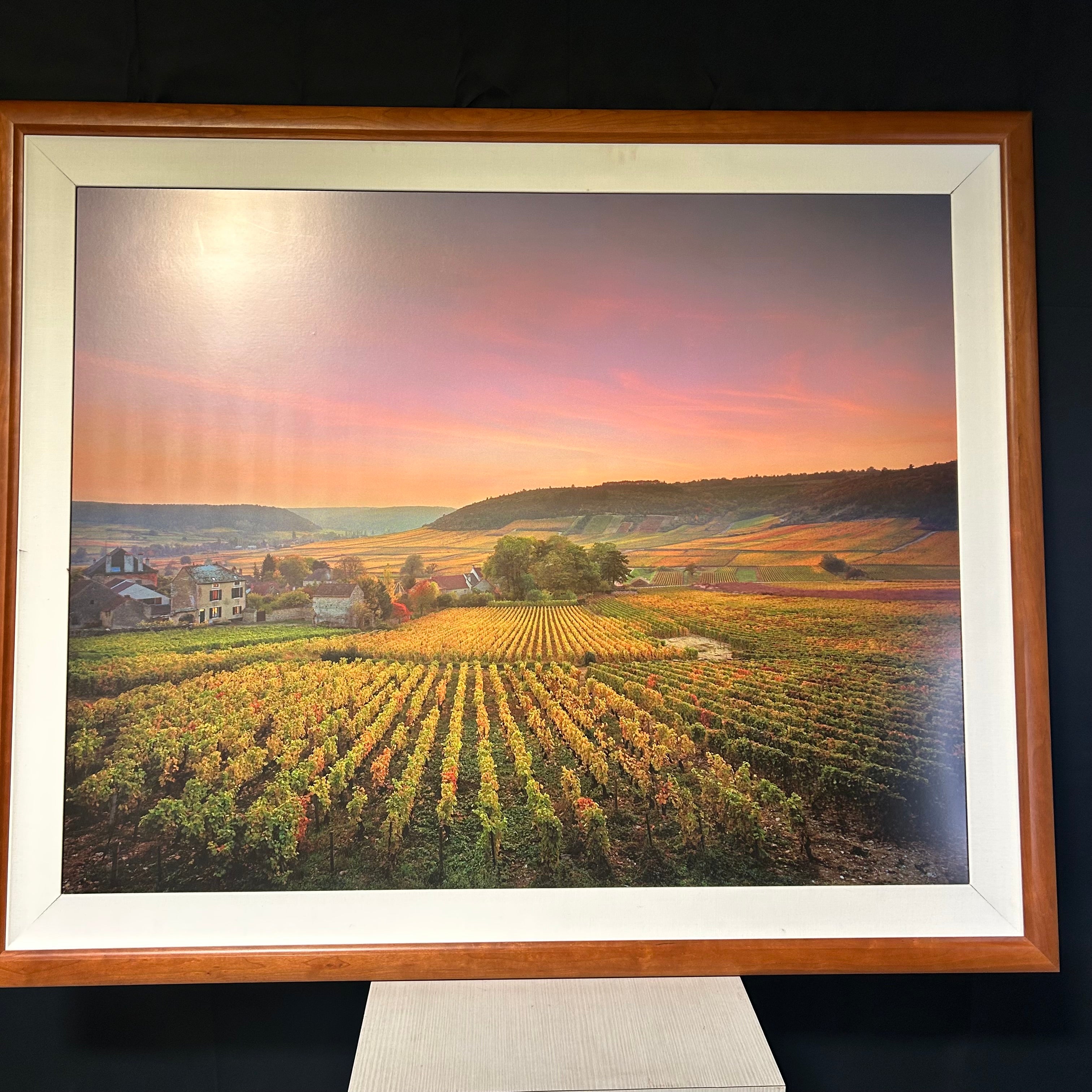 Large Print On A Panel Of A Vinyard  59"x 48"