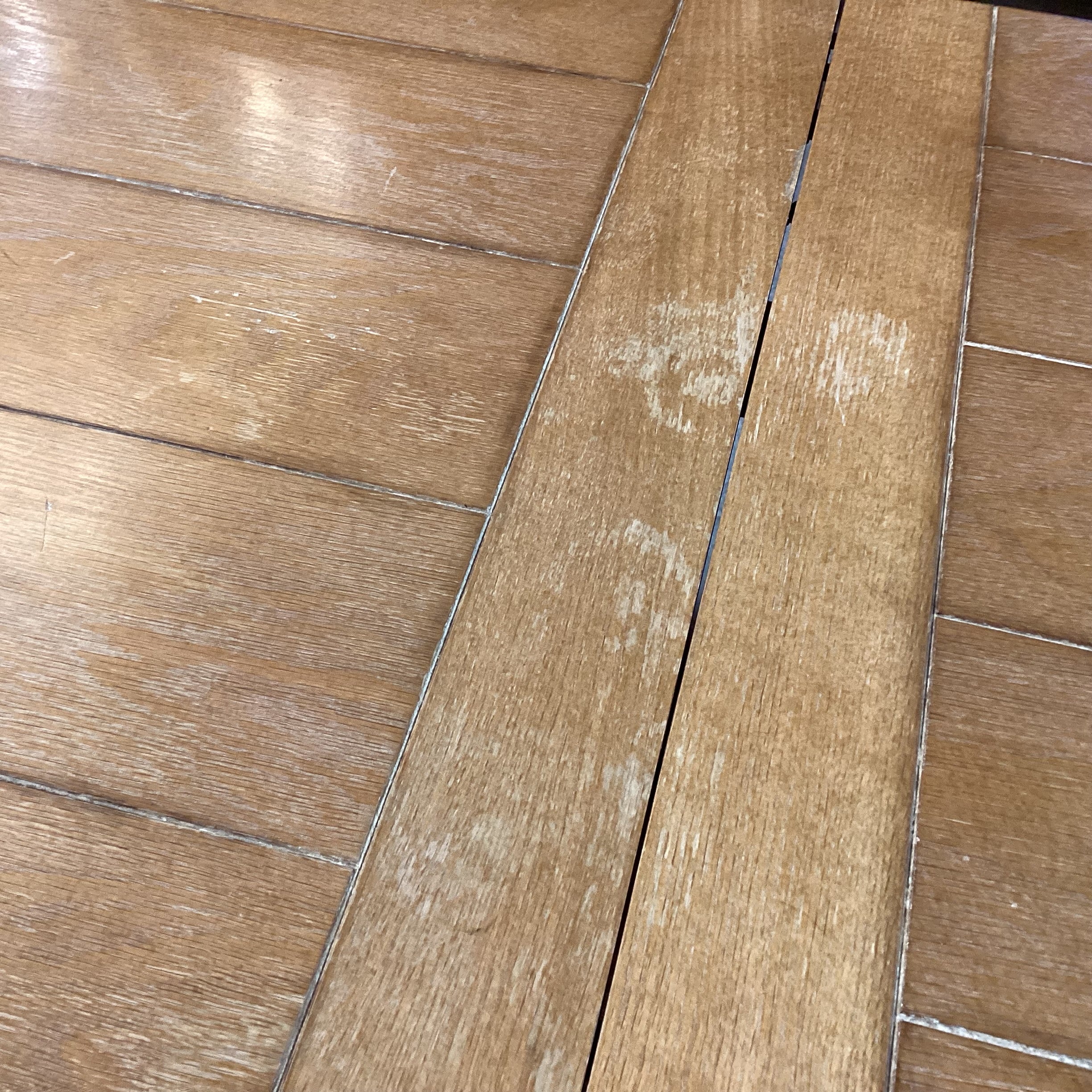 Light Finish Wood & Metal Edge Detail 2 Leaves Table with 8 Diamond Upholstered Chairs Dining Set 78" to 118"x 44"x 30.5"