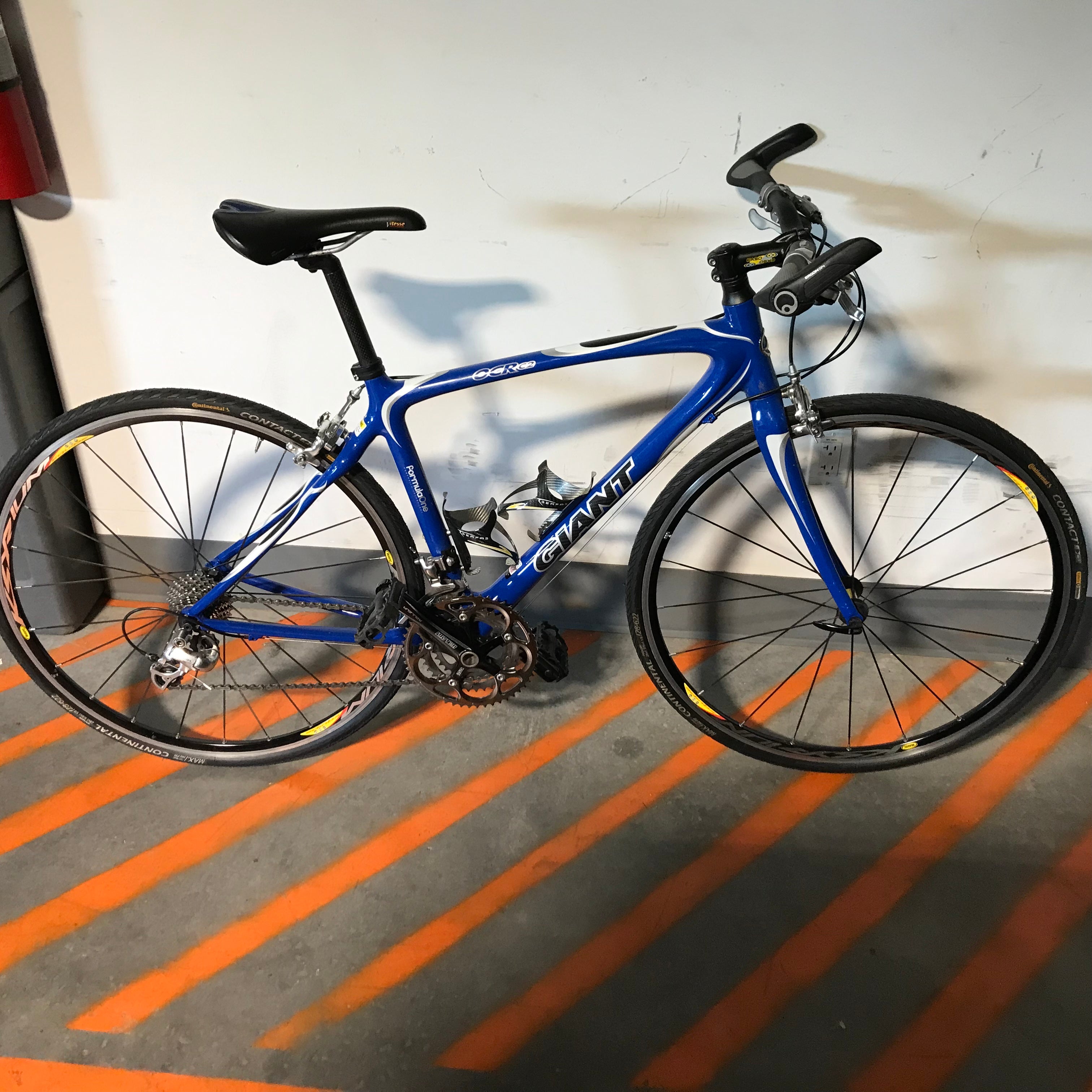 Giant OCR c2 Blue Carbon Fiber 30 Speed Road Bike