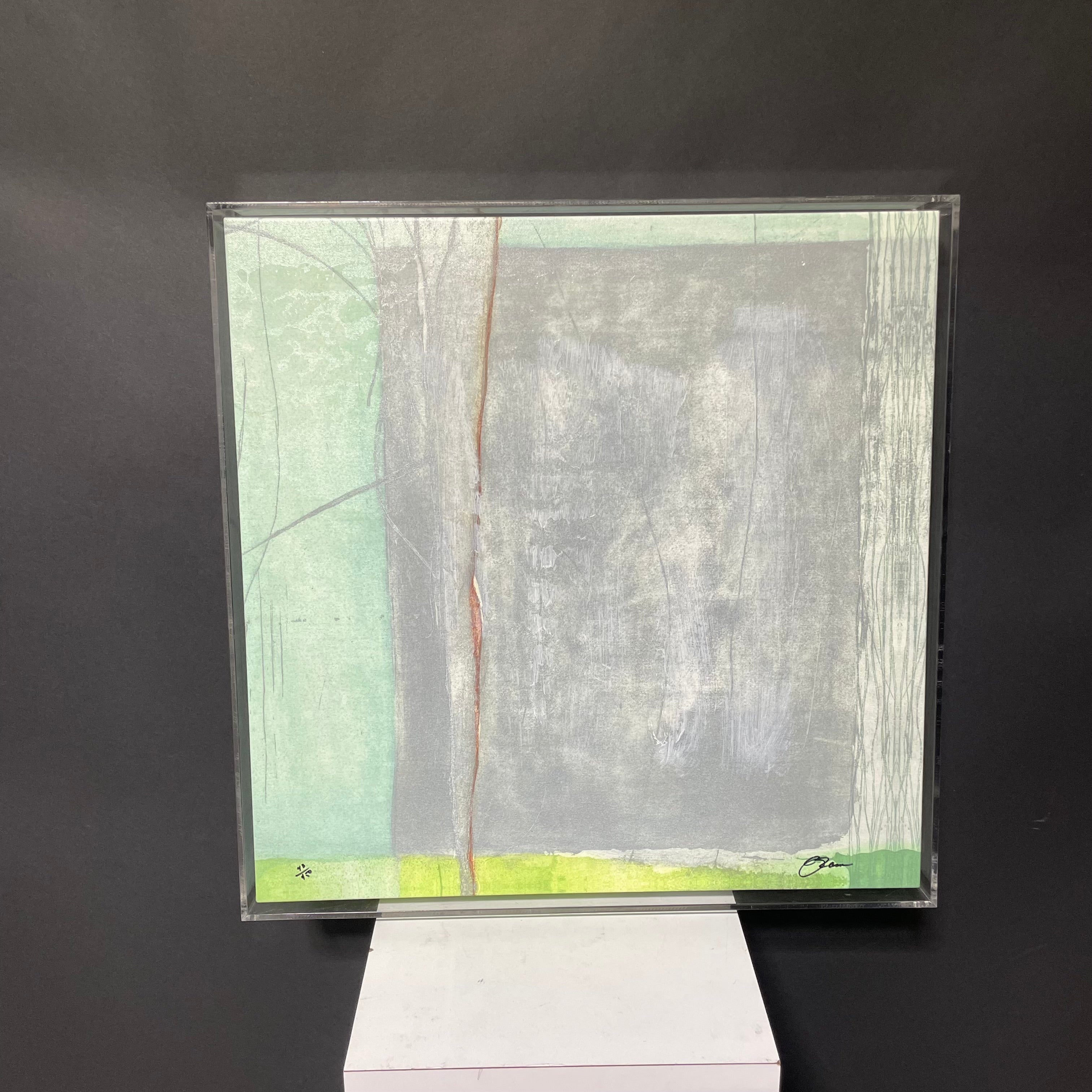 R. Jones Signed Limited Edition "Aurellio" Canvas Print In Acrylic Frame With Authentication 23" x 23"