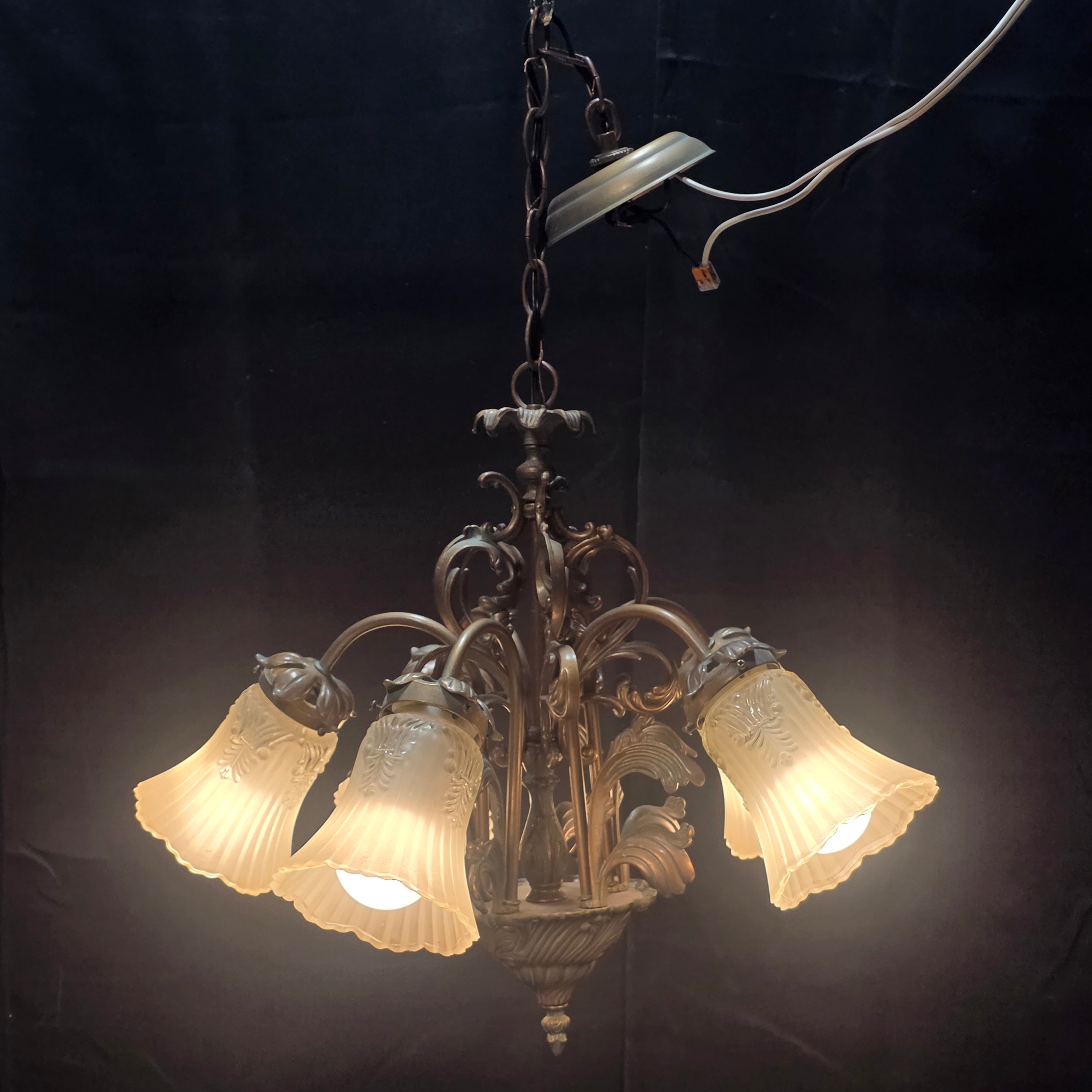 Art Nouveau Five Light Chandelier with Tulip Shades 23"x19"