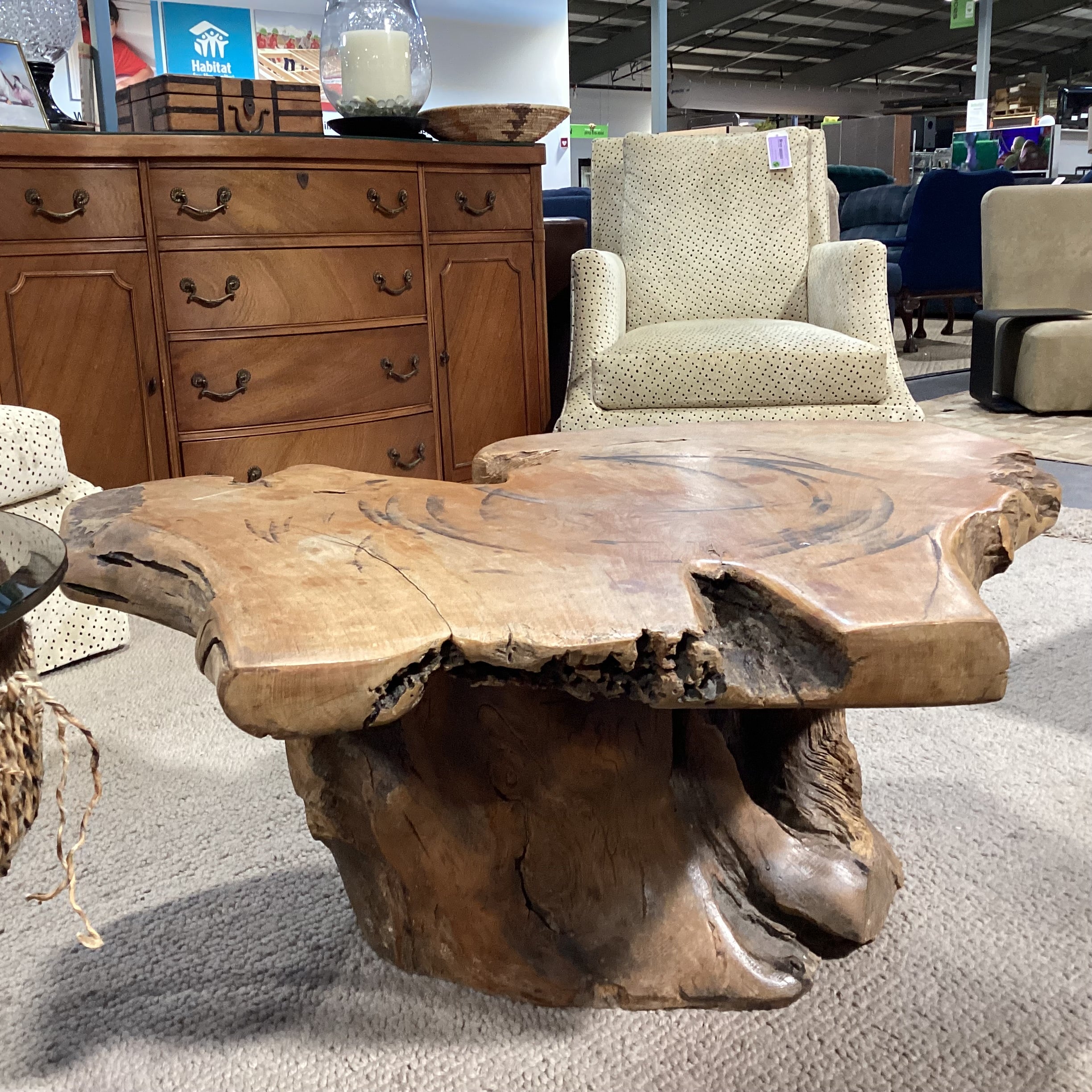 Vintage Root Stump & Live Edge Slab Coffee Table 42"x 34"x 18.5"