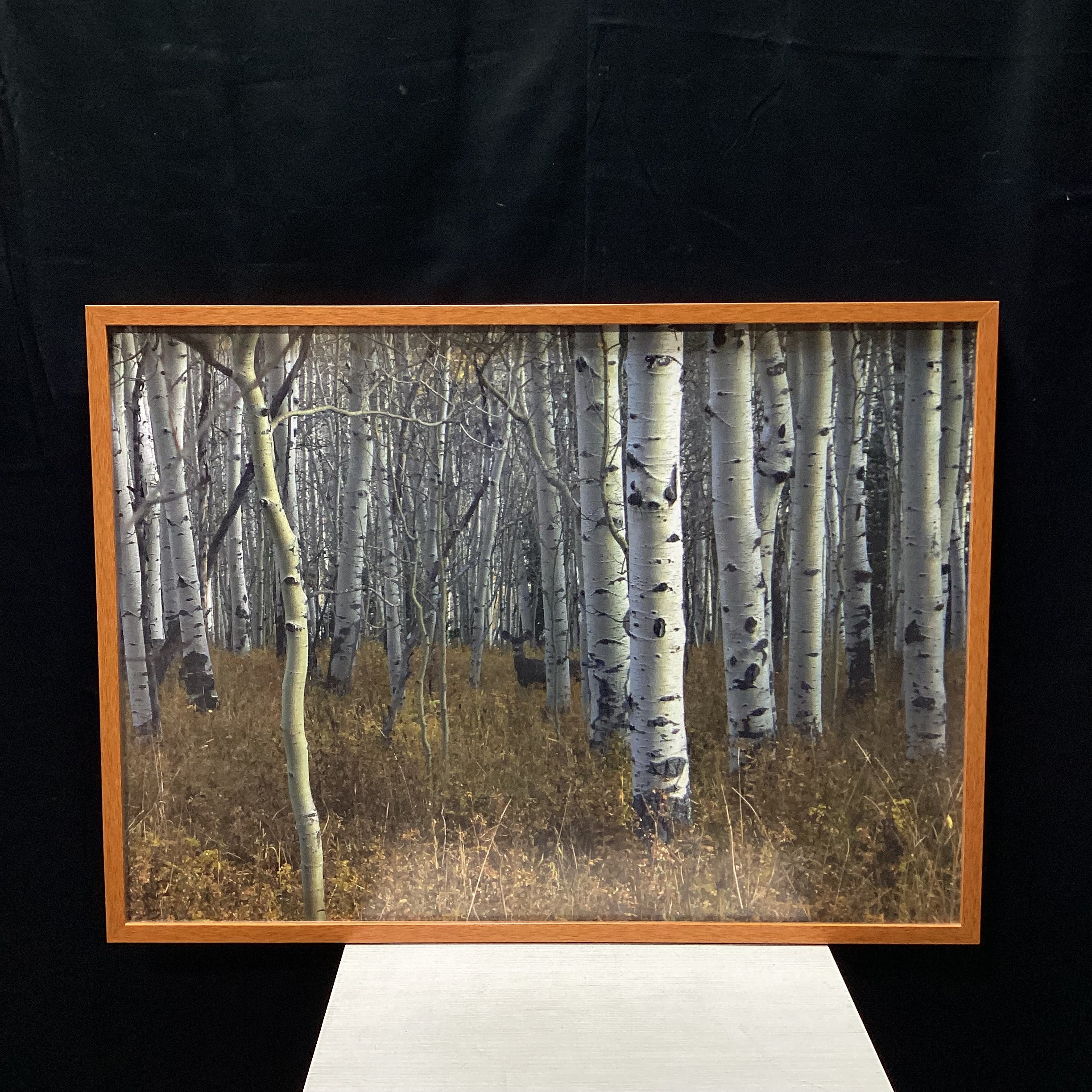 Forest Photograph With Deer In Wooden Frame 36" x 26"