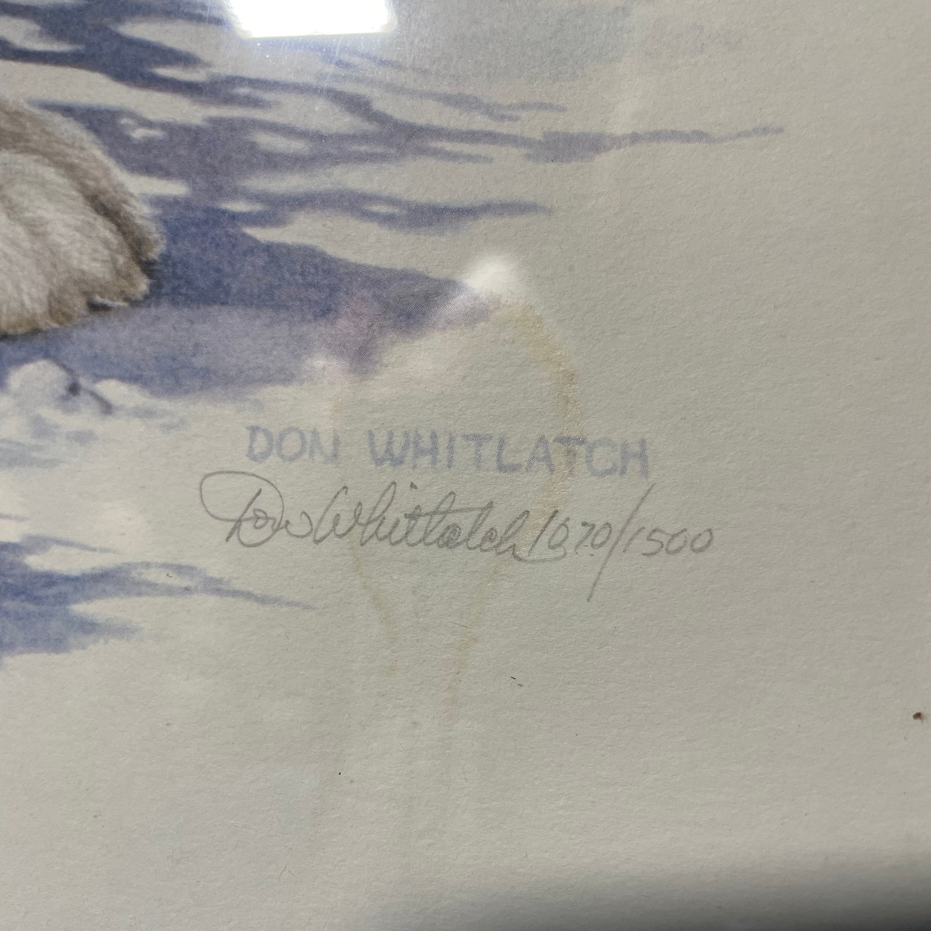 Don Whitlatch Signed Limited Edition "Varying Hare" Print In A Wooden Frame 17" x 21"