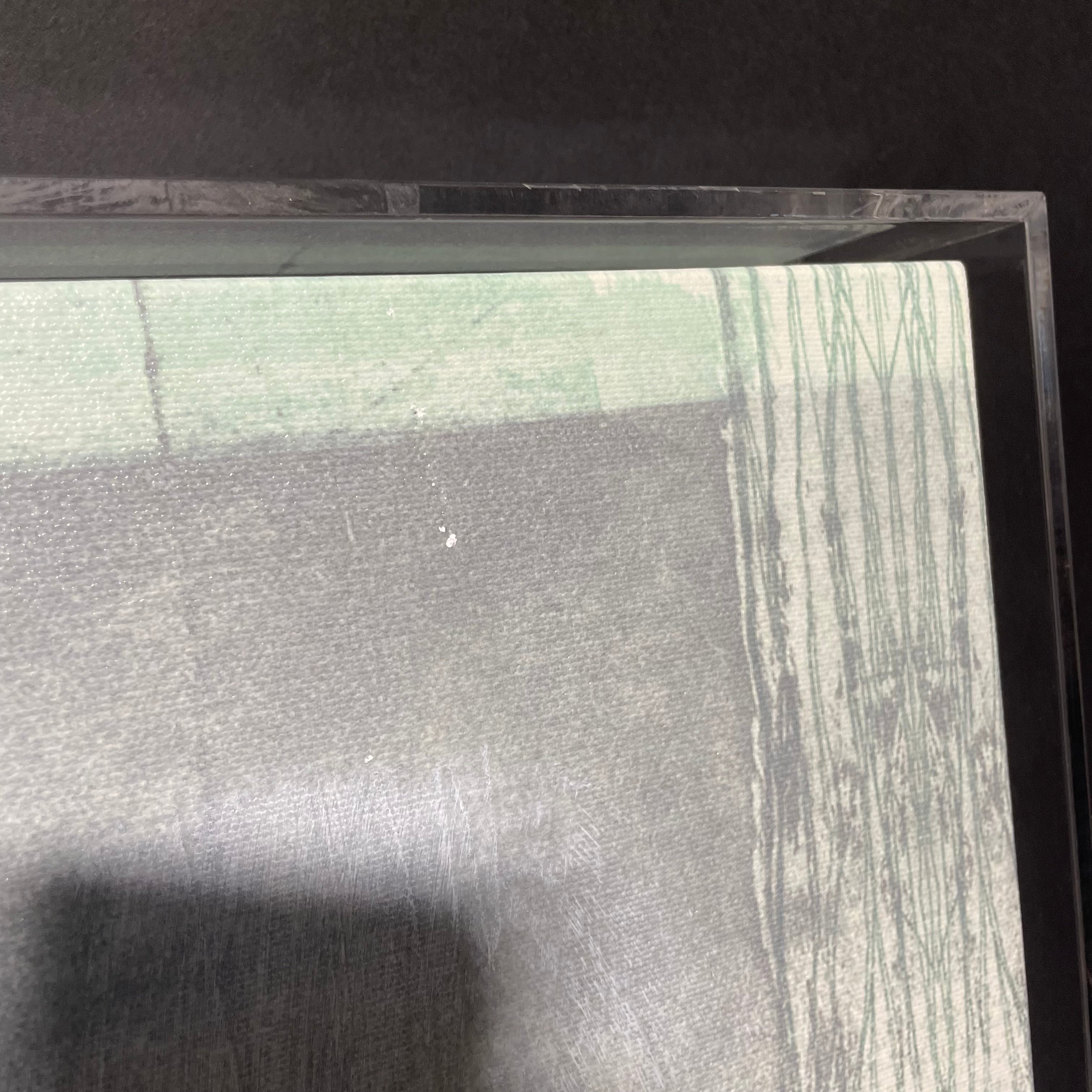 R. Jones Signed Limited Edition "Aurellio" Canvas Print In Acrylic Frame With Authentication 23" x 23"