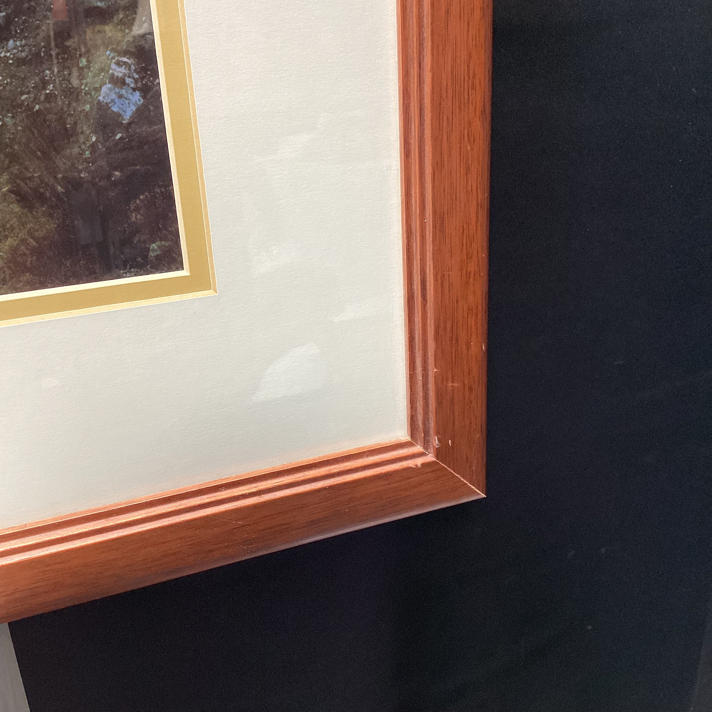 Joseph Holmes "The Colorado River at Nankoweap, Grand Canyon" Framed Photograph 30" x 22.5"