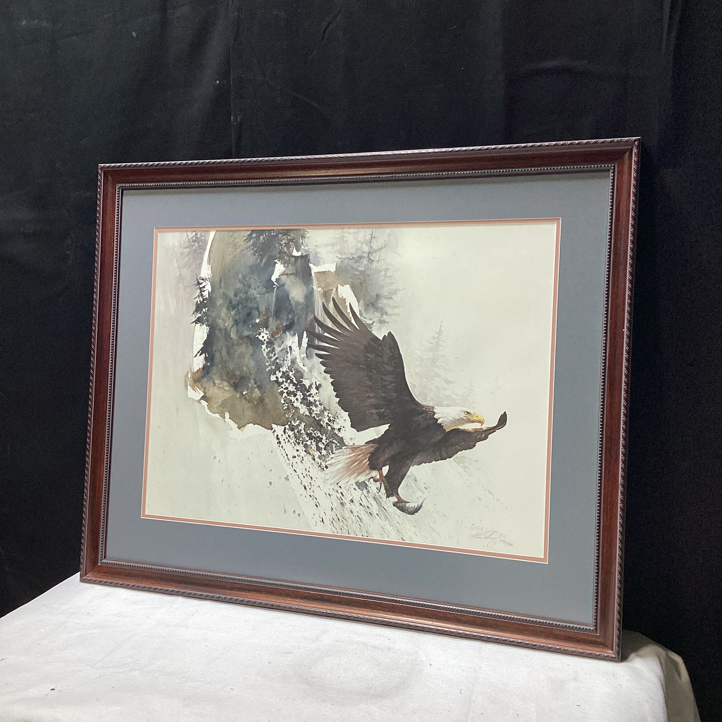 Morten E. Solberg Sr. Signed "On Silent Wings"  Limited Edition AP Framed Print 34.5" x 28"