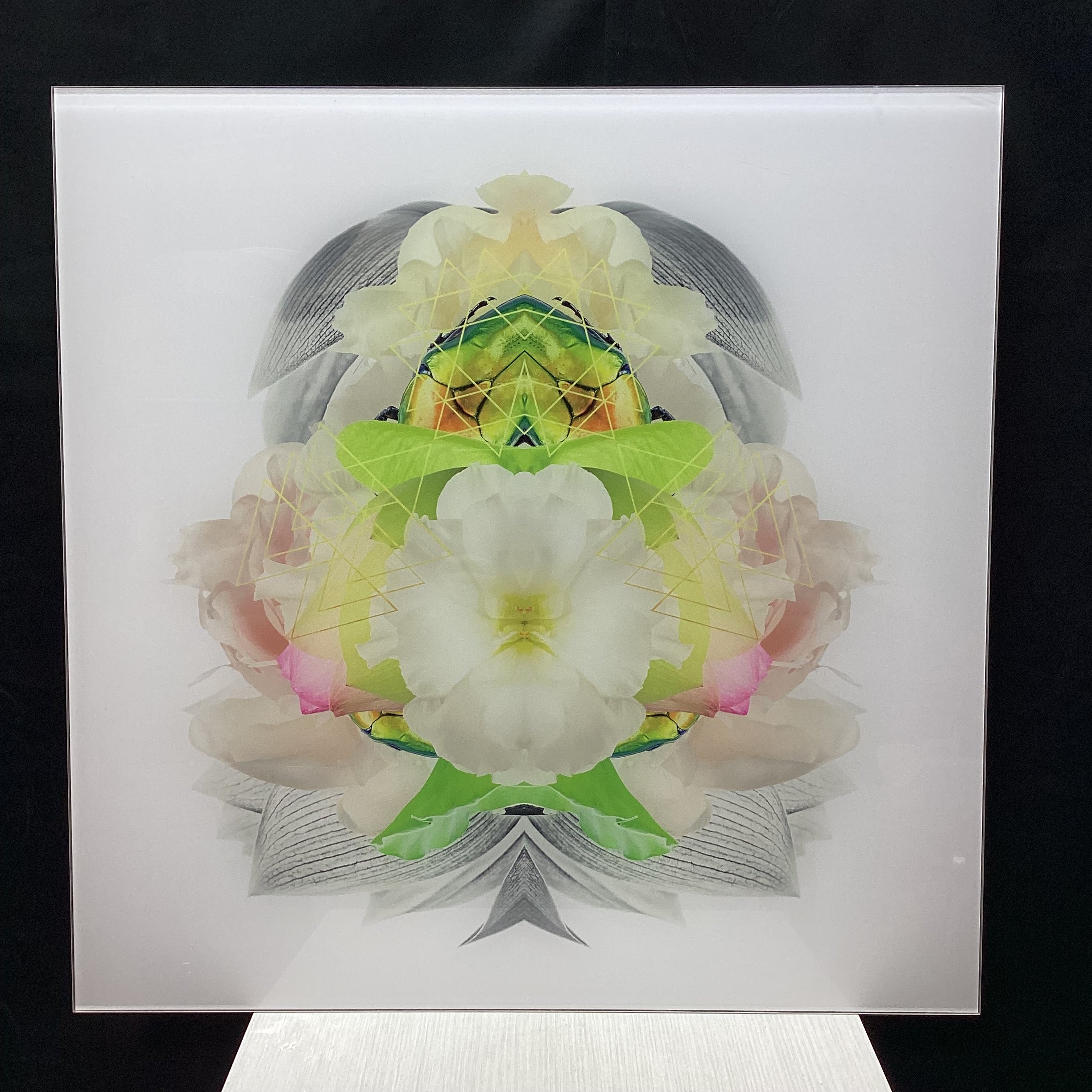 Symmetrical Beetle/Nature Photograph Print With Gold Triangular Details 30" x 30"