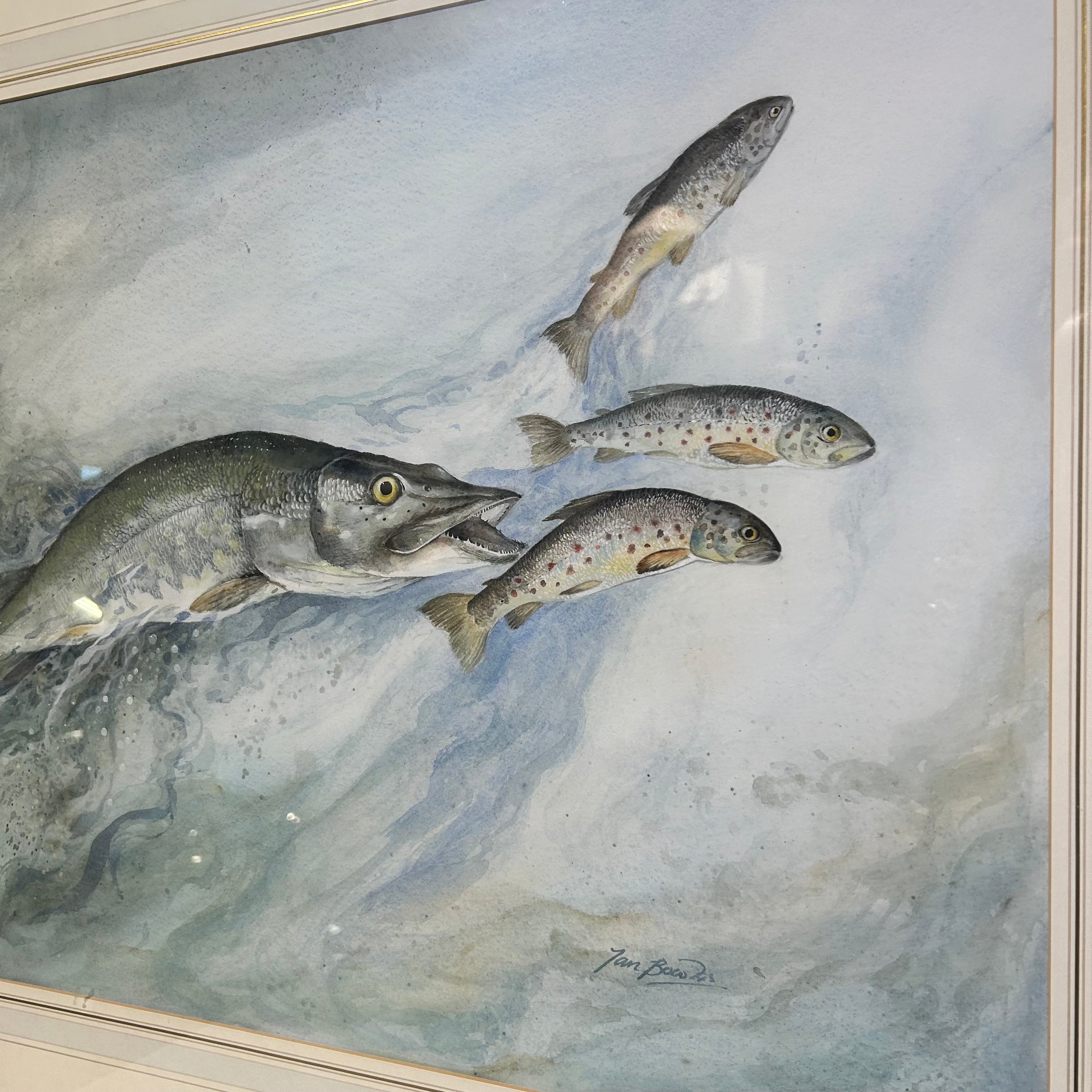 Ian Bowles Wildlife Artist Watercolr Signed Painting  Pike Chasing Trout 32"x26"