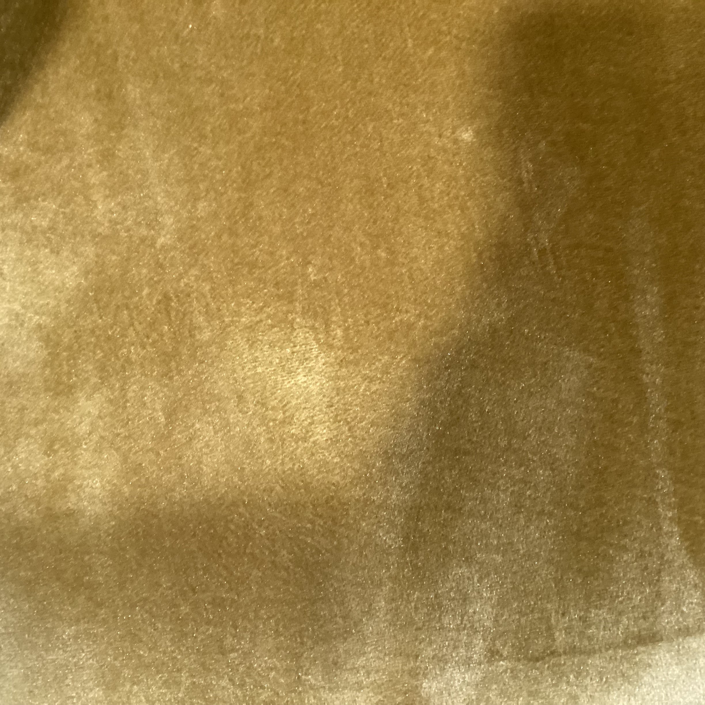 I was Made for You Interior Define Saffron Velvet & Gold Metal Modern Chair 27"x 24"x 30"