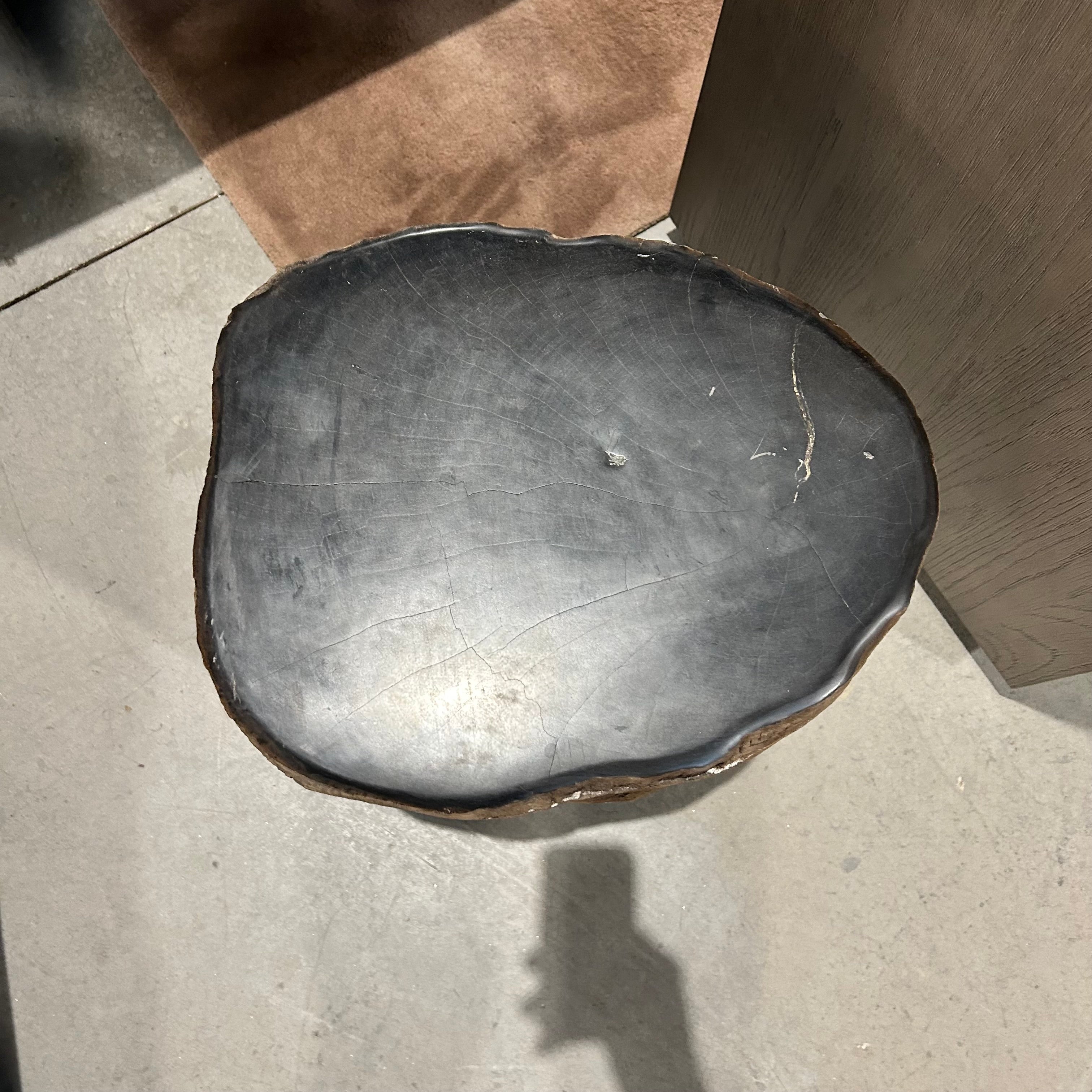 One Of A KindTan And Black Polished Petrified Wood 15"x 12"x 19"