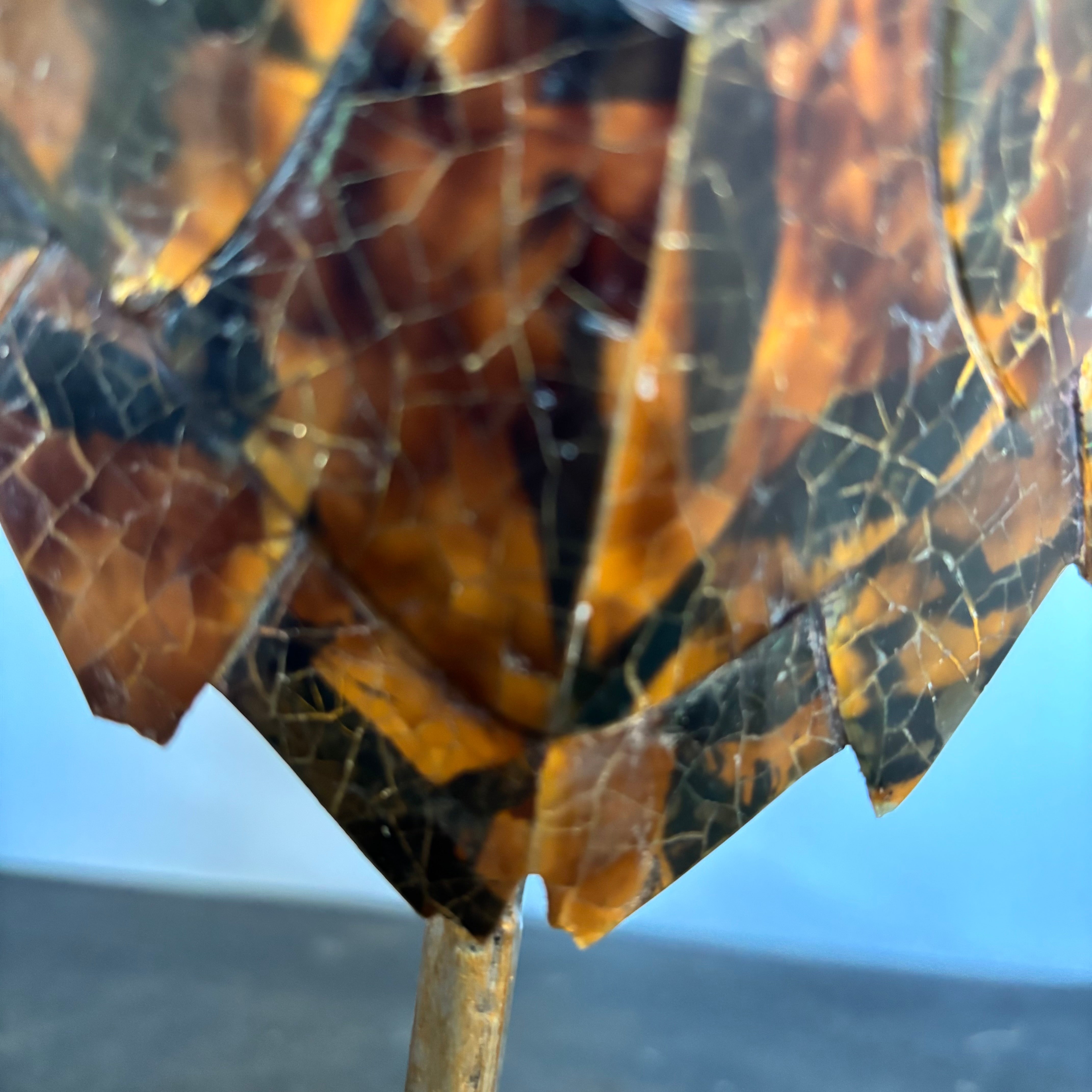 Decorative Detailed Faux Turtle Shell on Metal Stand, 8" x 17"