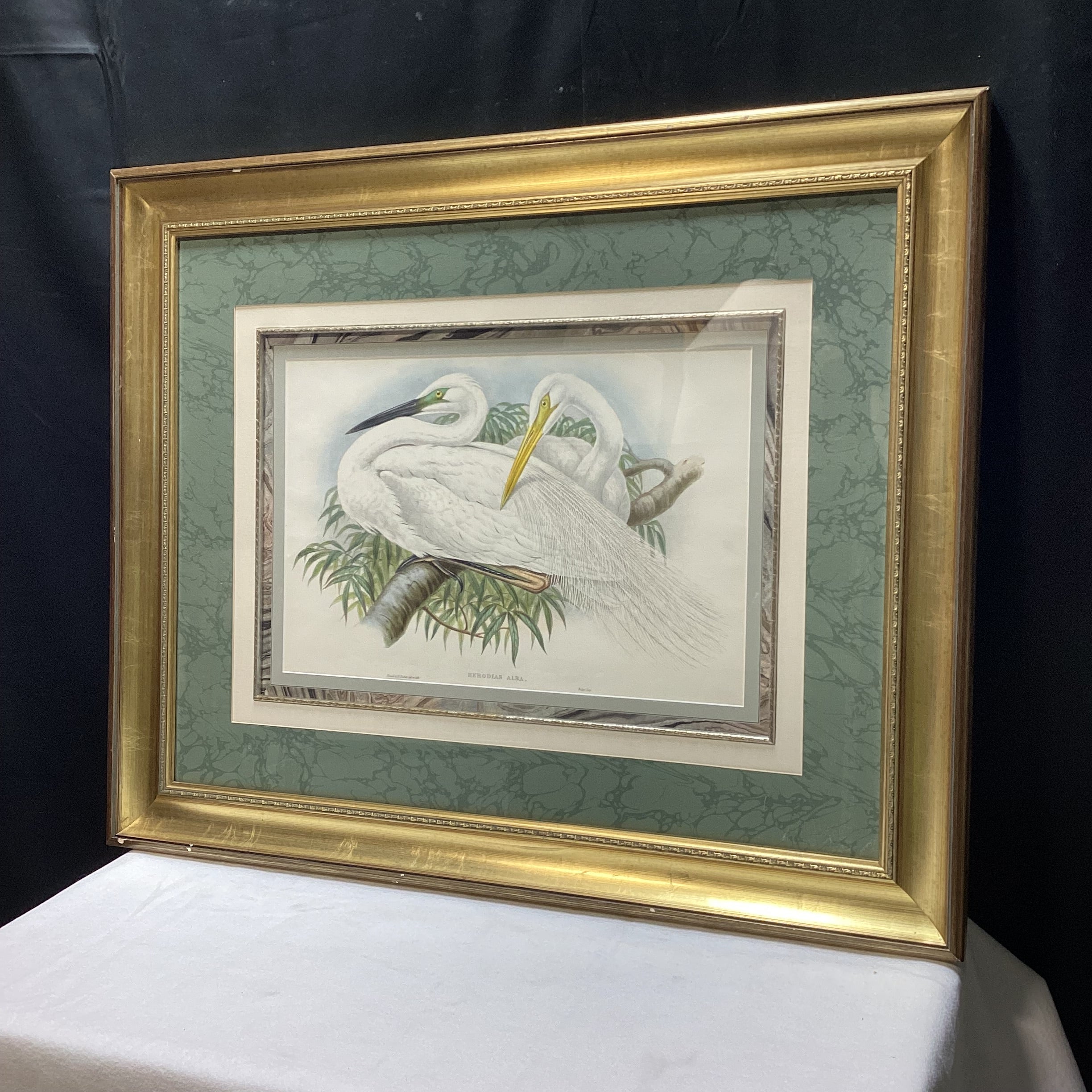 Henry Constanine Richter "Great White Egret" Hand Colored Lithograph 38" x 31"