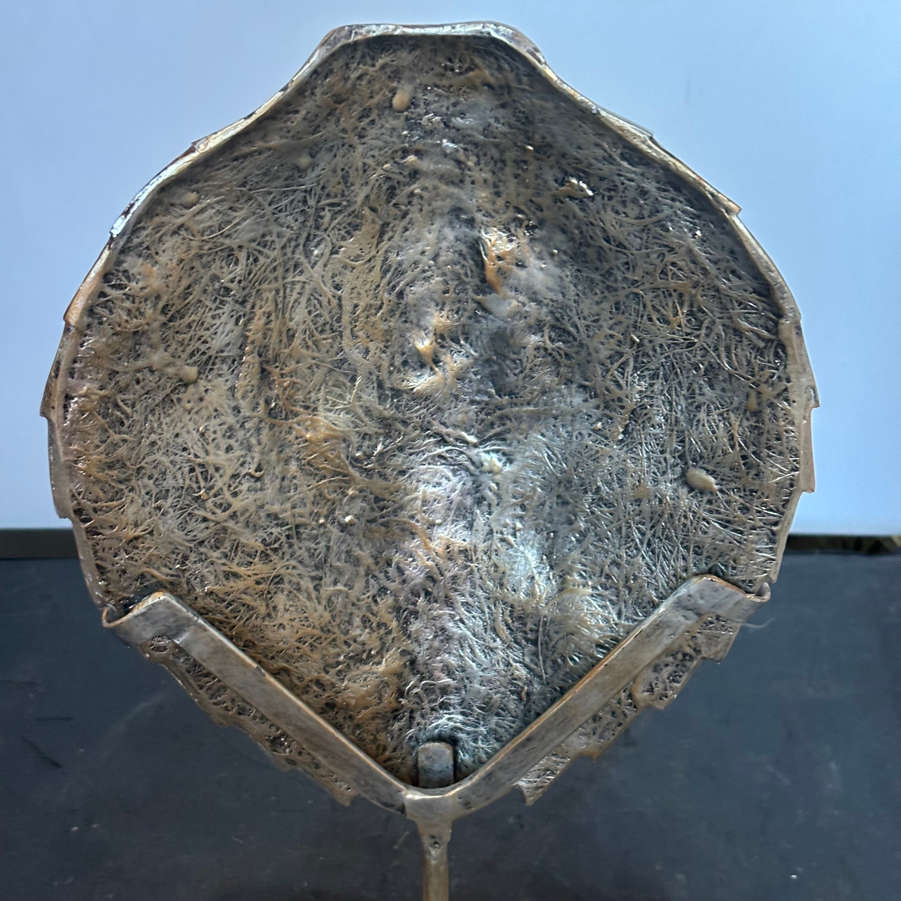 Decorative Detailed Faux Turtle Shell on Metal Stand, 8" x 17"