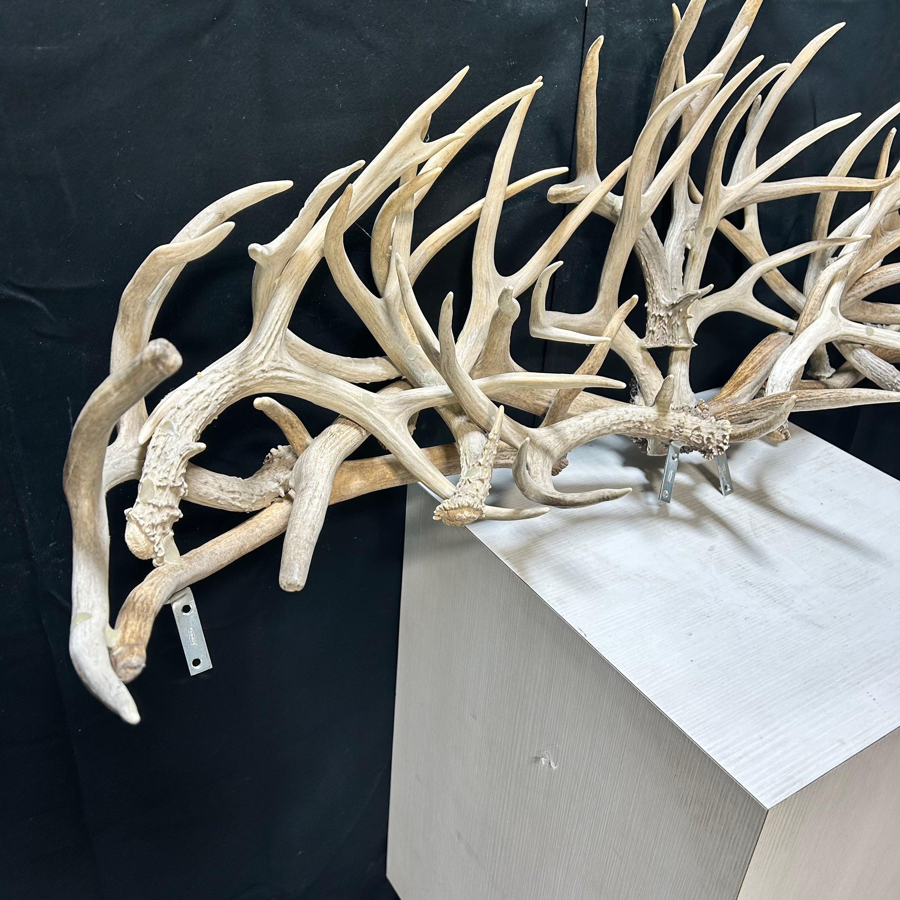Custom Mount Of Horizontal Natural  Antler Mix 54"x 19'x 14"