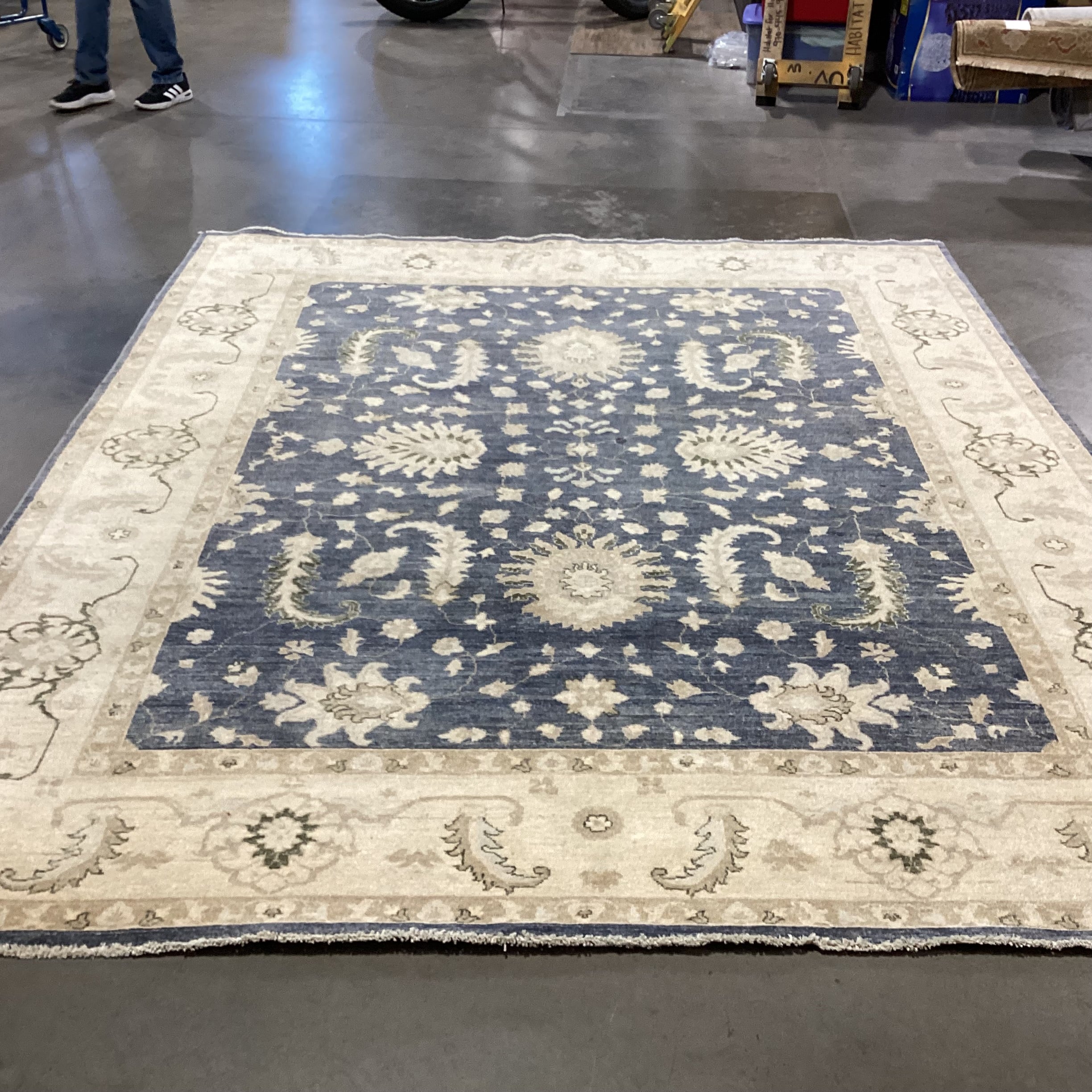 Favorite Oriental Rugs Cream & Blue Chobi Turkman Hand Woven Wool Rug 8'x 9'9"