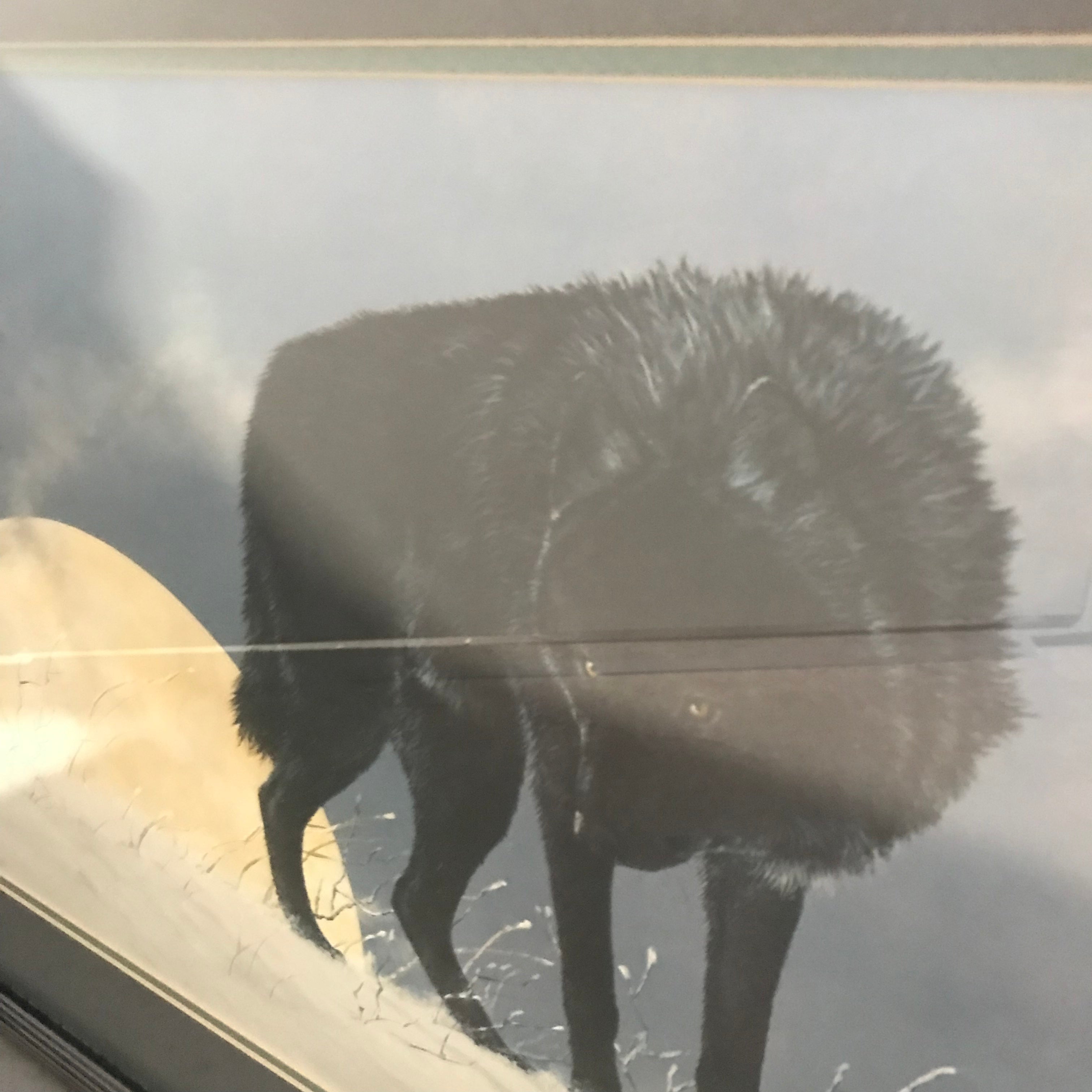 Jon Van Zyle 'Alaska Ethos' Black Wolf and Moon Signed and Framed Print Wall Decor 28" x 18"