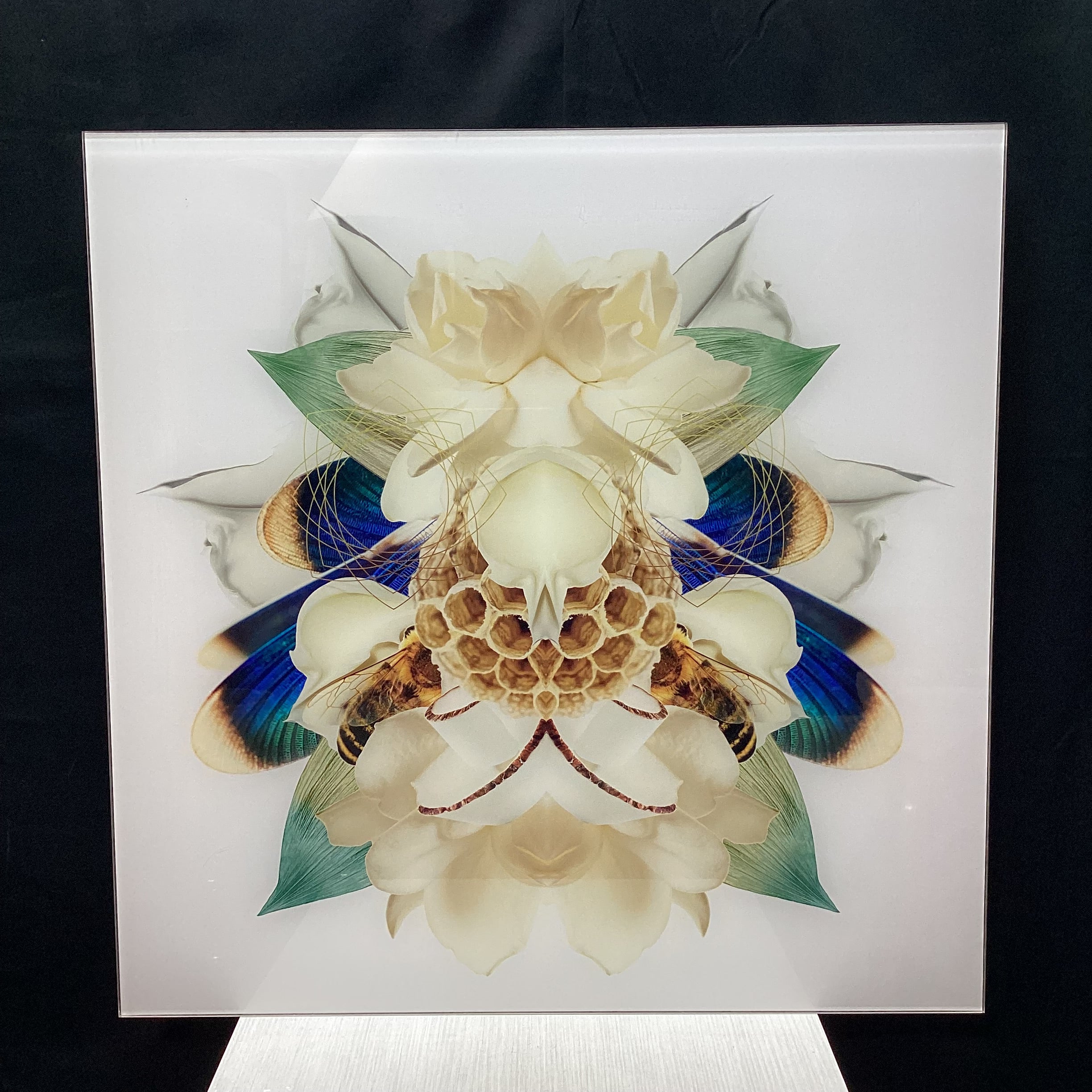 Symmetrical Bee/Nature Photograph Print 30" x 30"