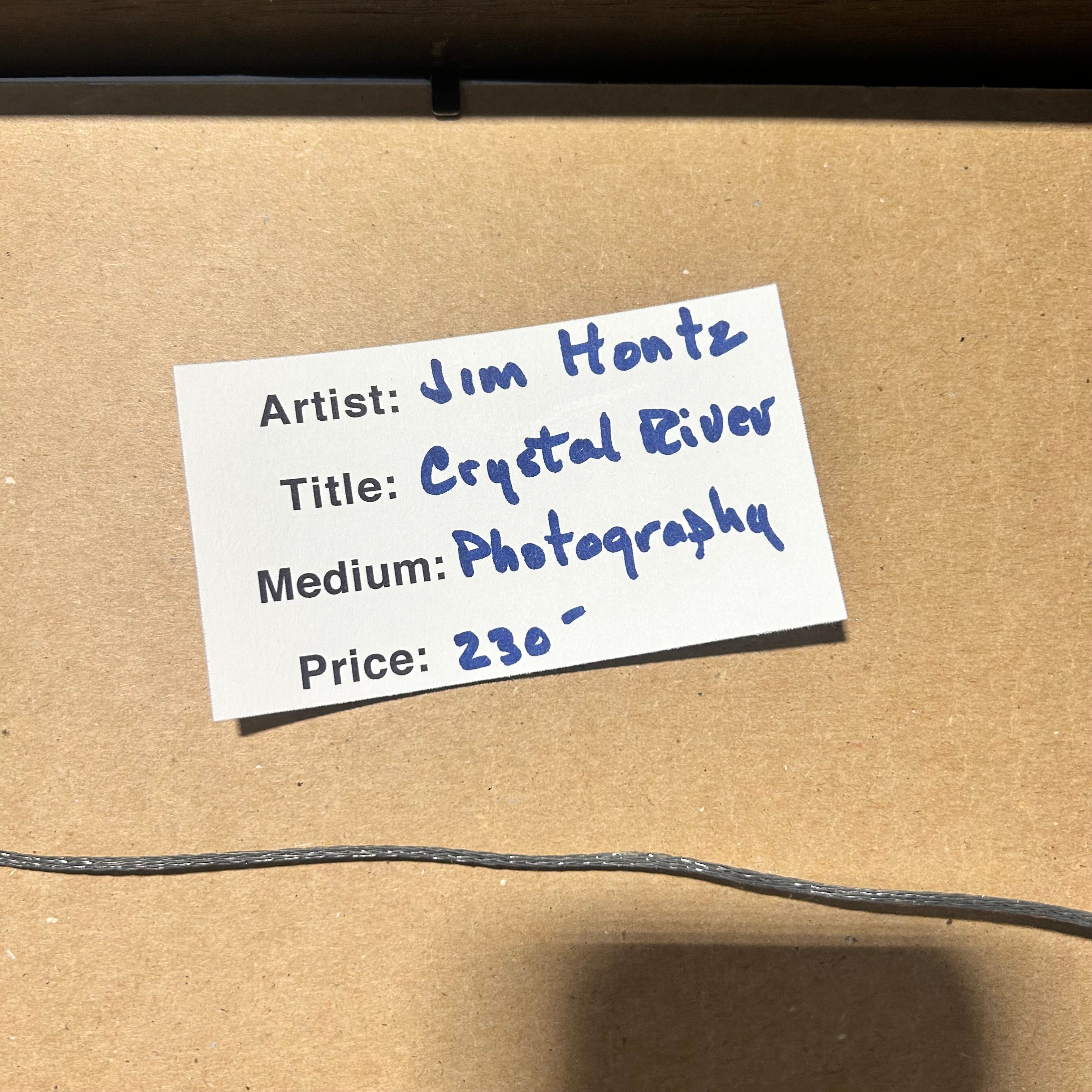 Jim Hontz Co. Artist Medium Photograph Crystal River 25"x 19"