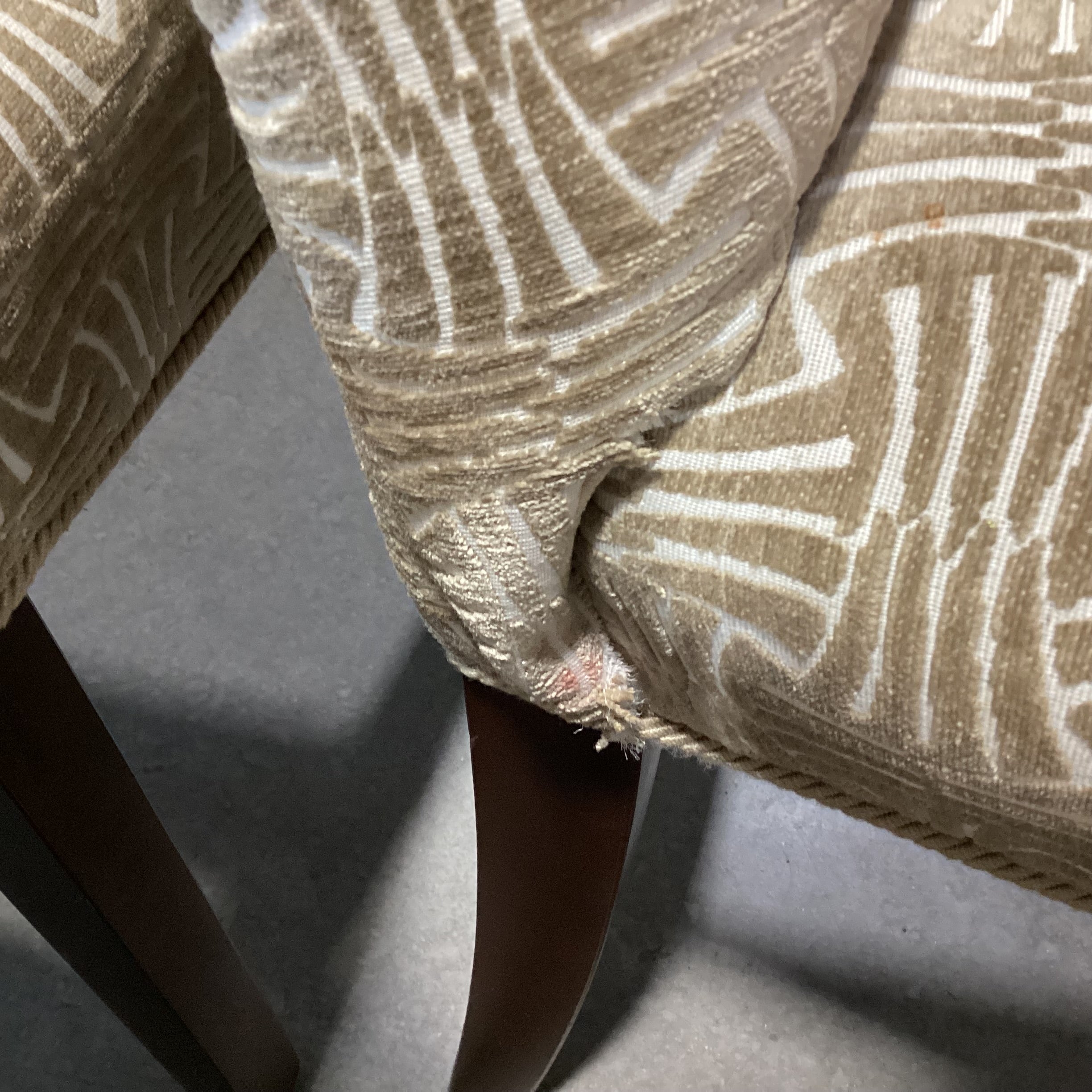 Set of 4 Beige & Ivory Raised Chenille Design Dining Chairs 22"x 24"x 40"