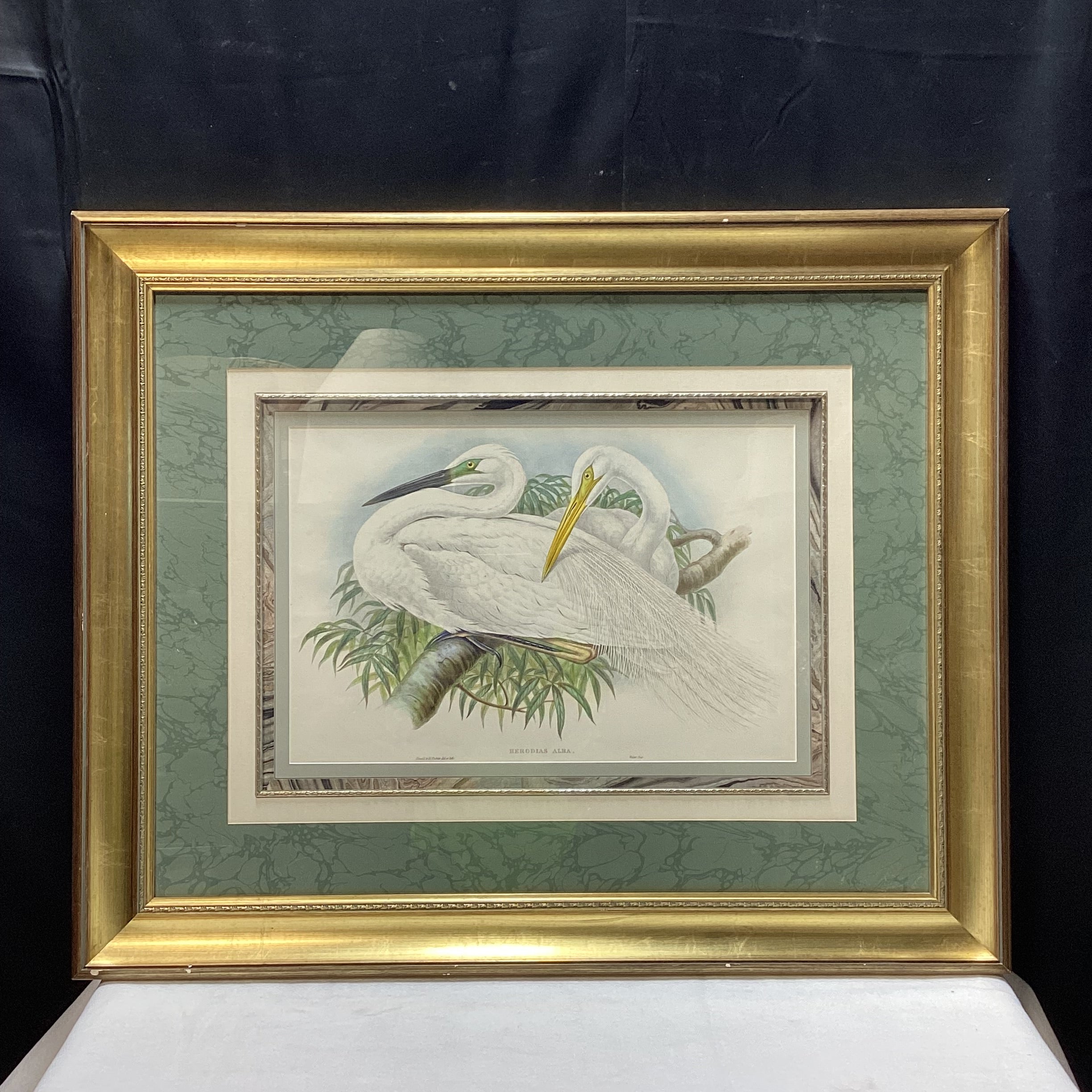 Henry Constanine Richter "Great White Egret" Hand Colored Lithograph 38" x 31"