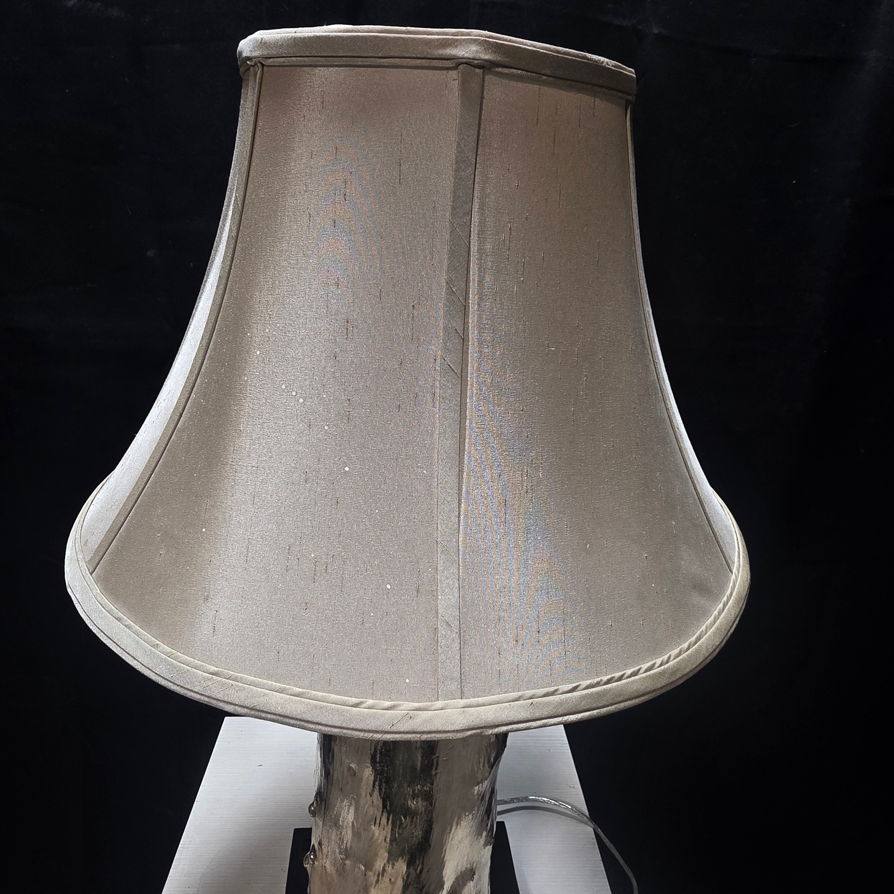 Organic Silver Tree Stump Table Lamp with Plug In Feature 10"x10"x32"