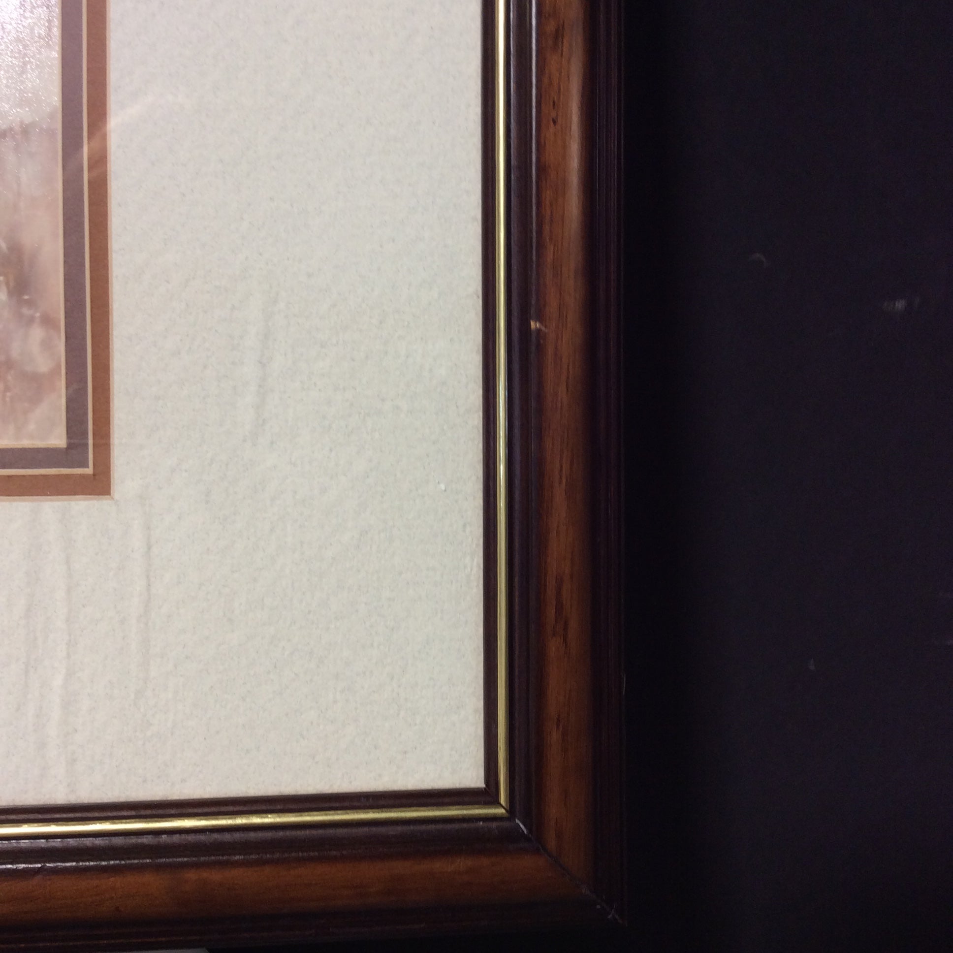 Terrell Campbell "White-Tail Princess" Photograph Print In Wood Frame 22" x 18"