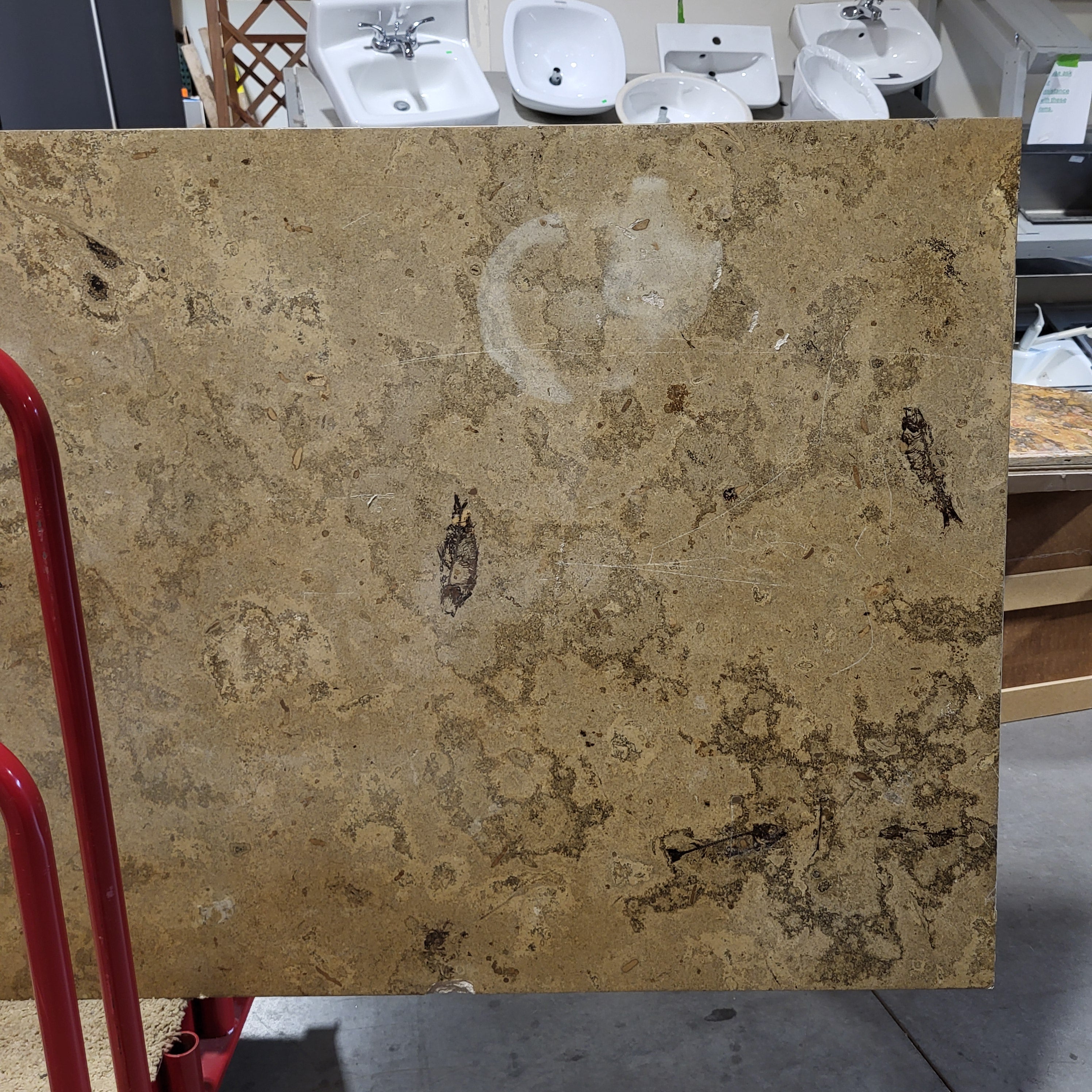 125"x 39.5"x 1.5" Green River Fossil Marble Like Countertop