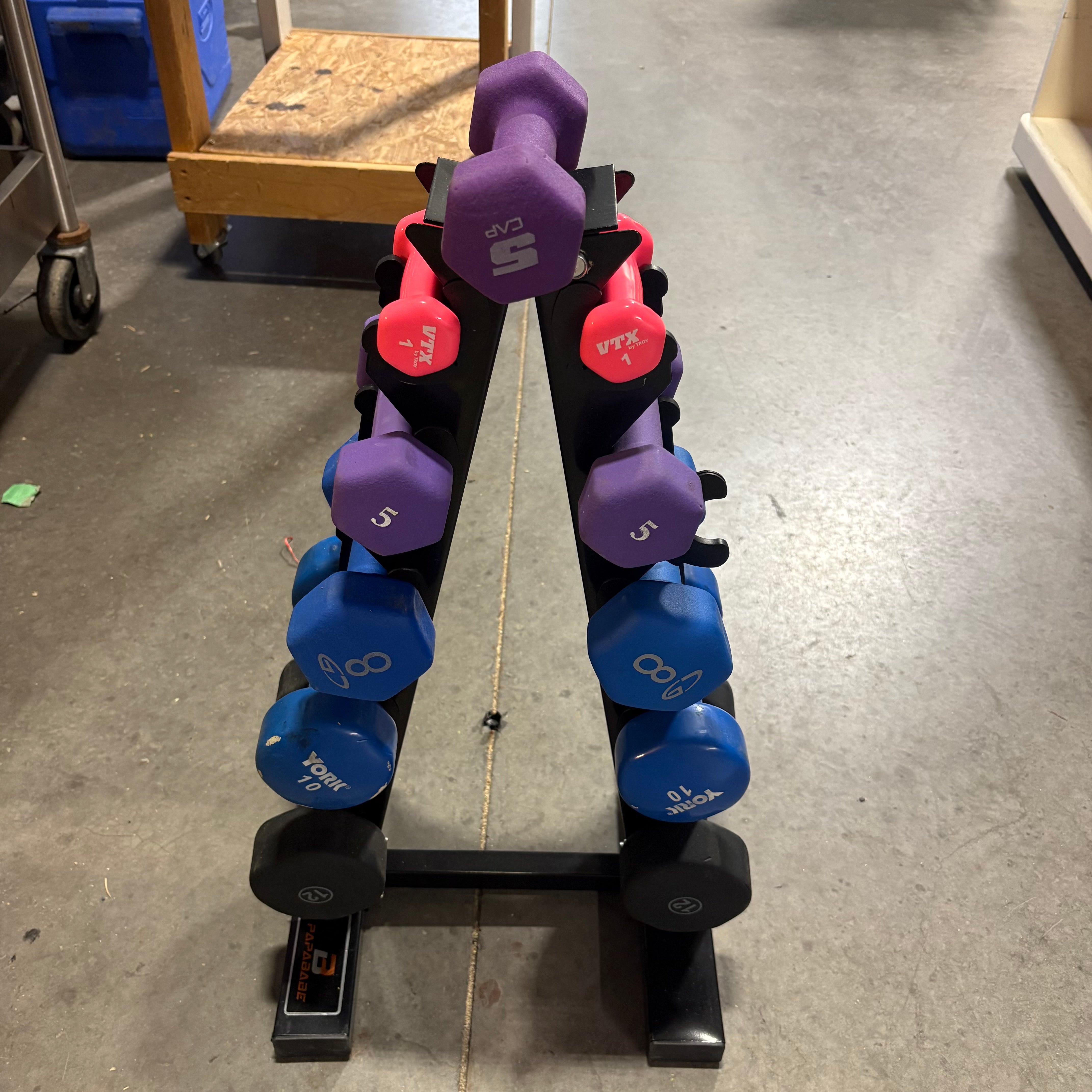 Papababe Dumbell Set 76lb.