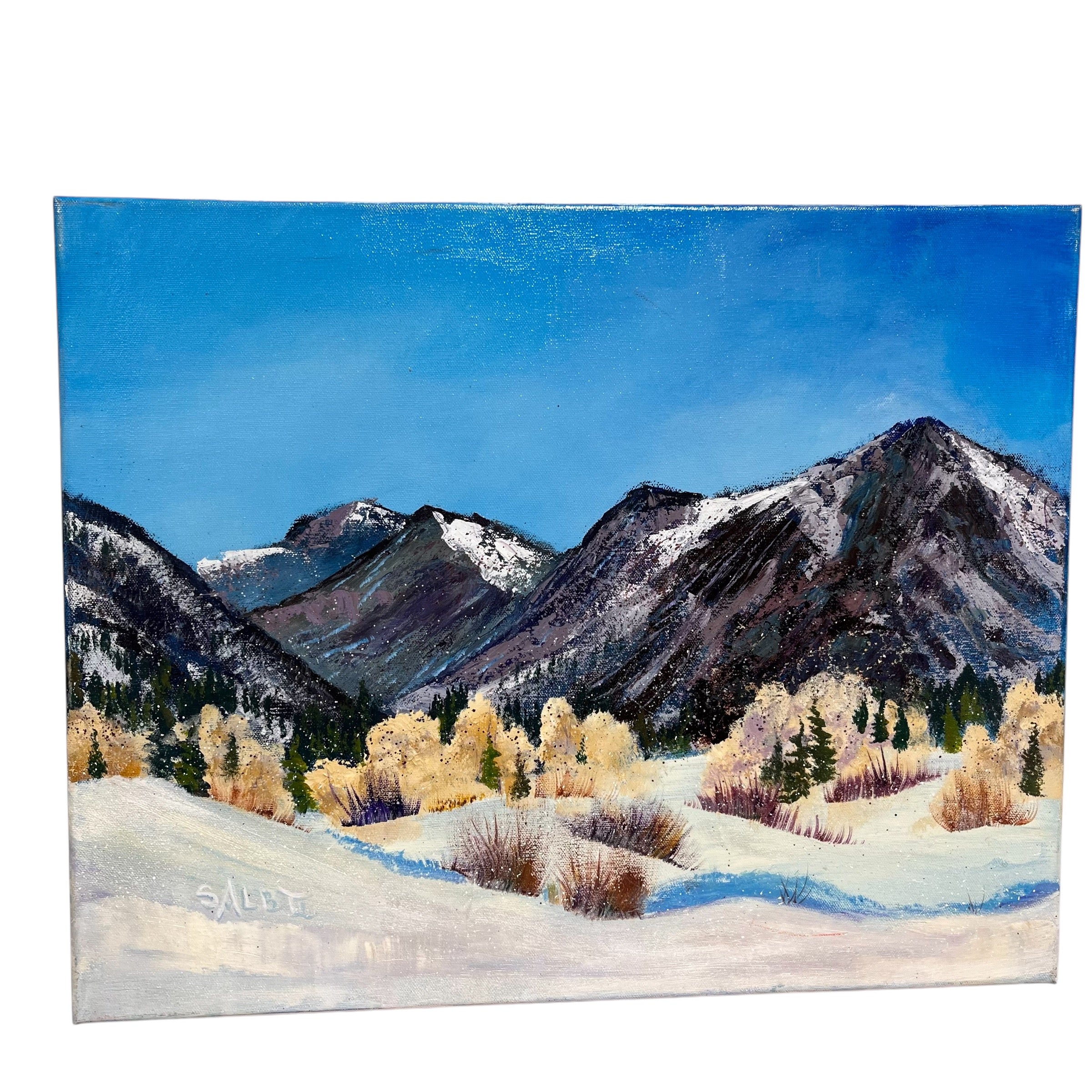 Sue Binkley "Northstar on Independence Pass" Original Acrylic on Canvas Plein Air Wall Decor; 20"x 16"