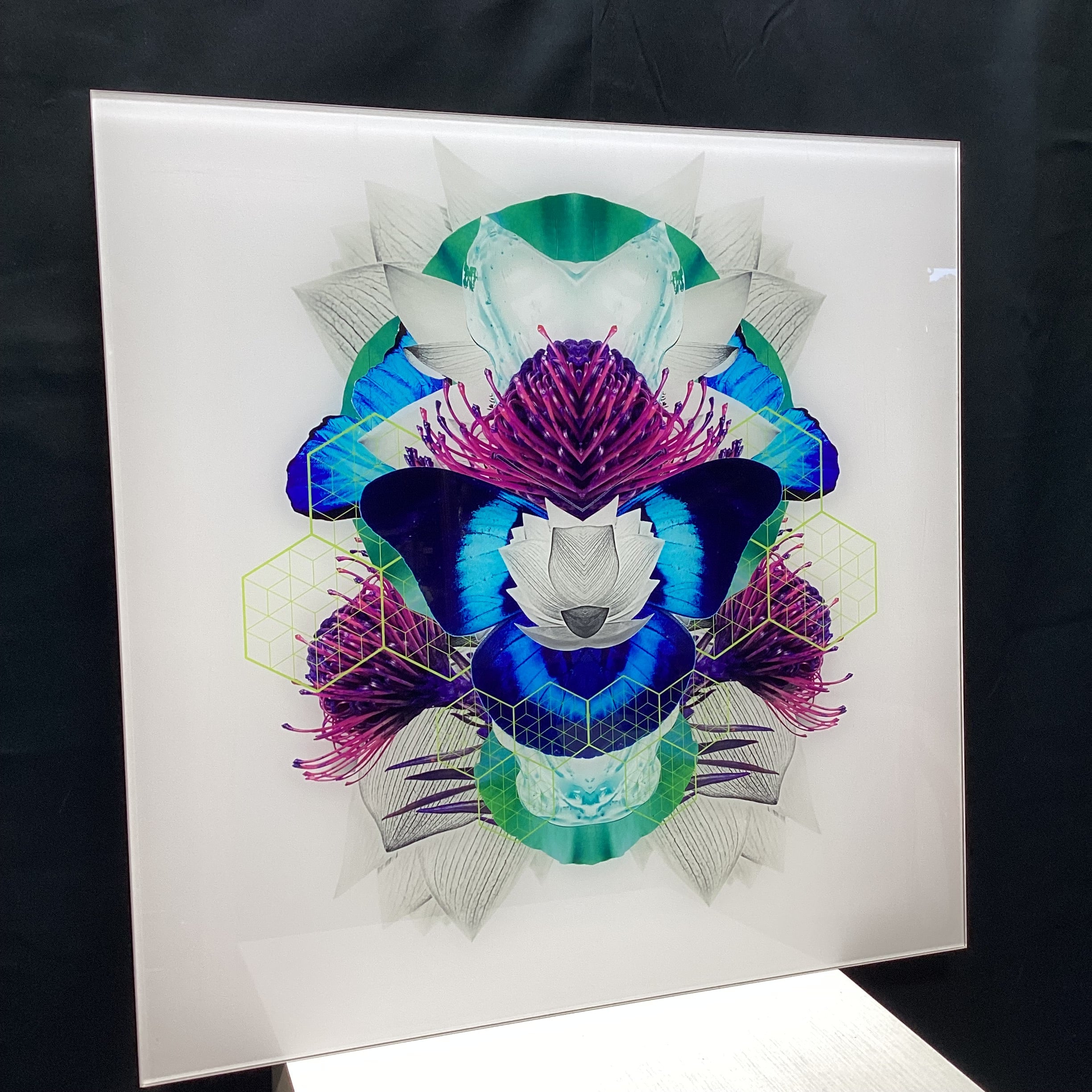 Symmetrical Butterfly/Nature Photograph With Digital Collage Detailing 30" x 30"