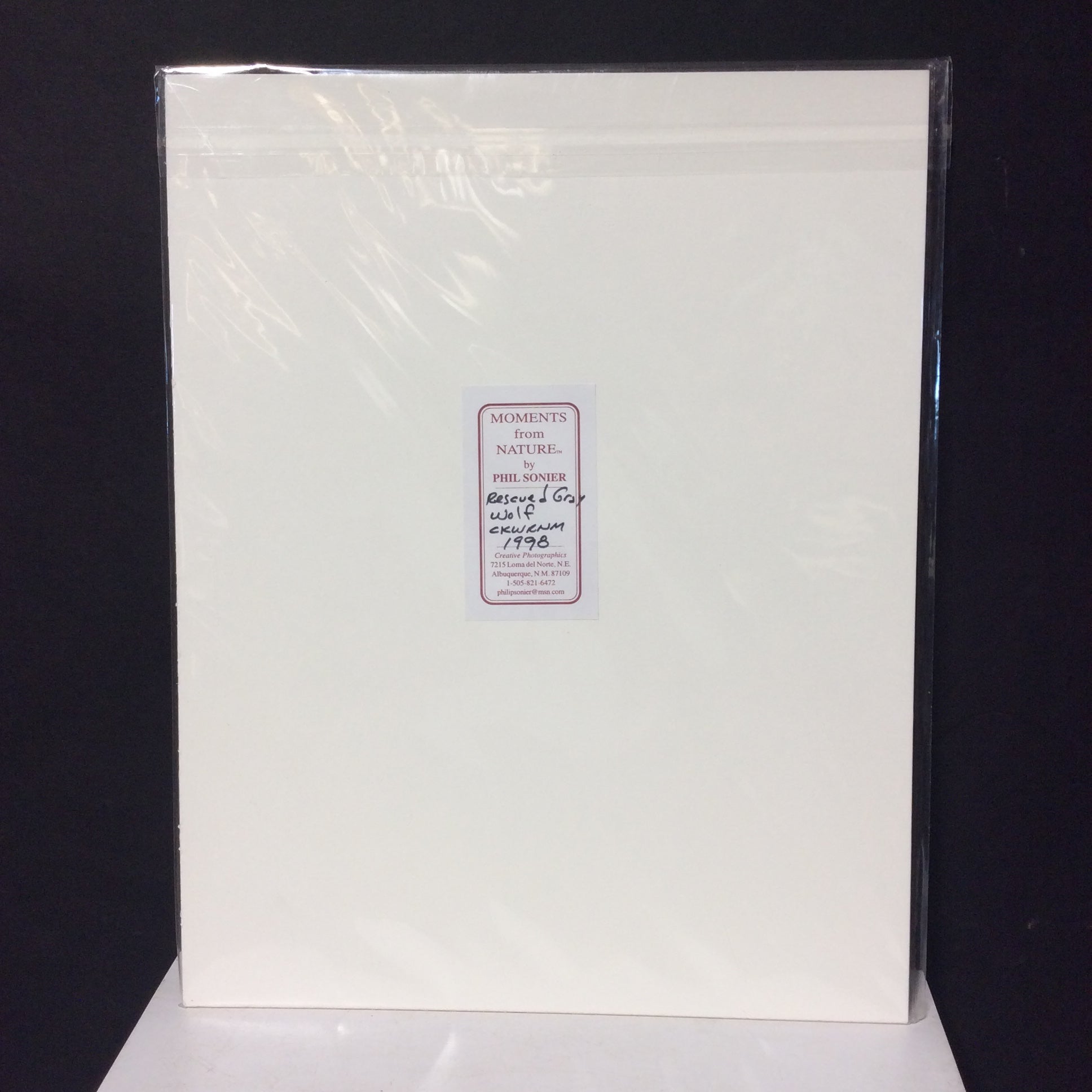 Matted W/Out Frame Signed Limited Edition "Rescued Grey Wolf 1998" Portrait Photograph 11" x 14"