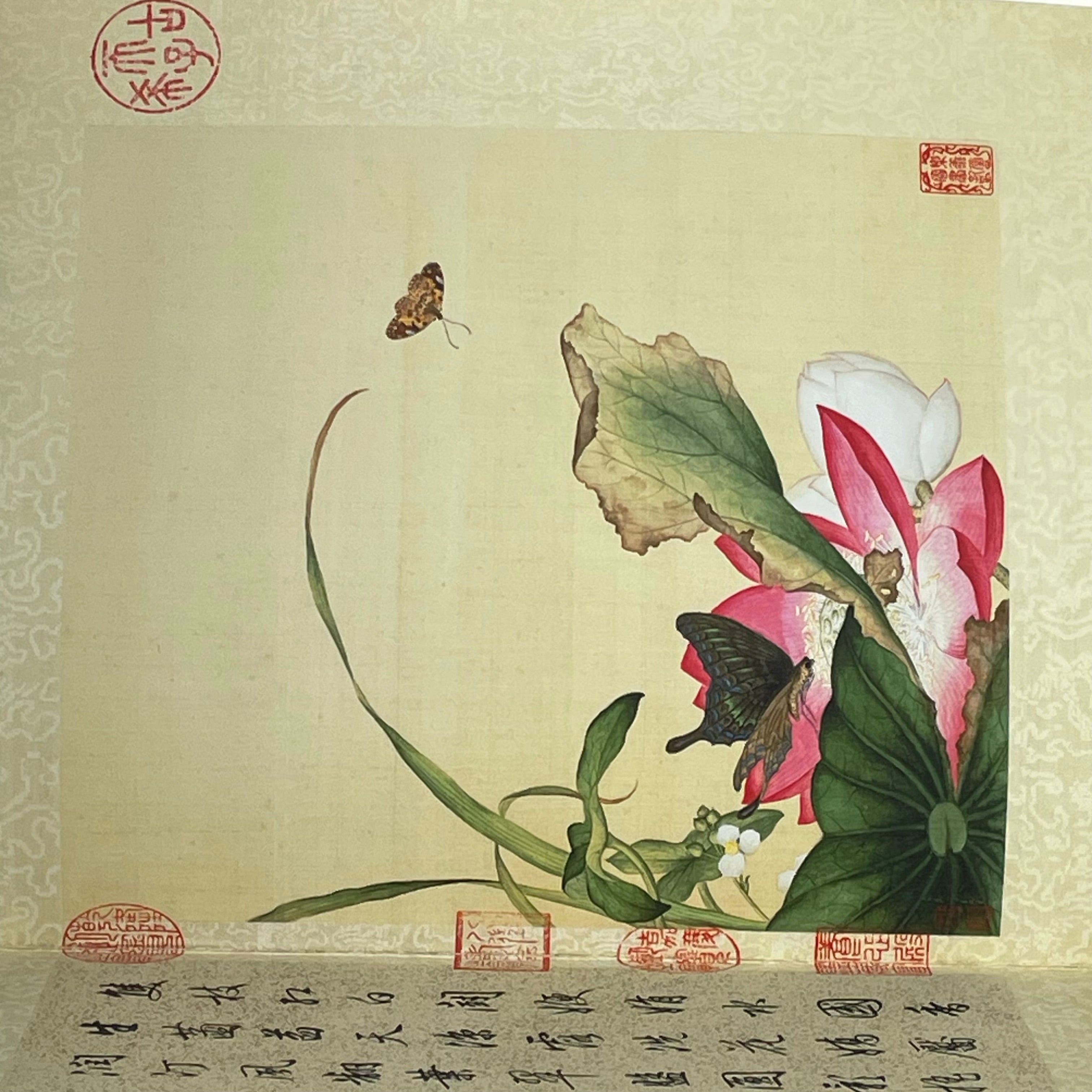Set of 10 Lang Shining Birds and Flowers Eternal Spring Art Prints by Giuseppe Castiglione in Box