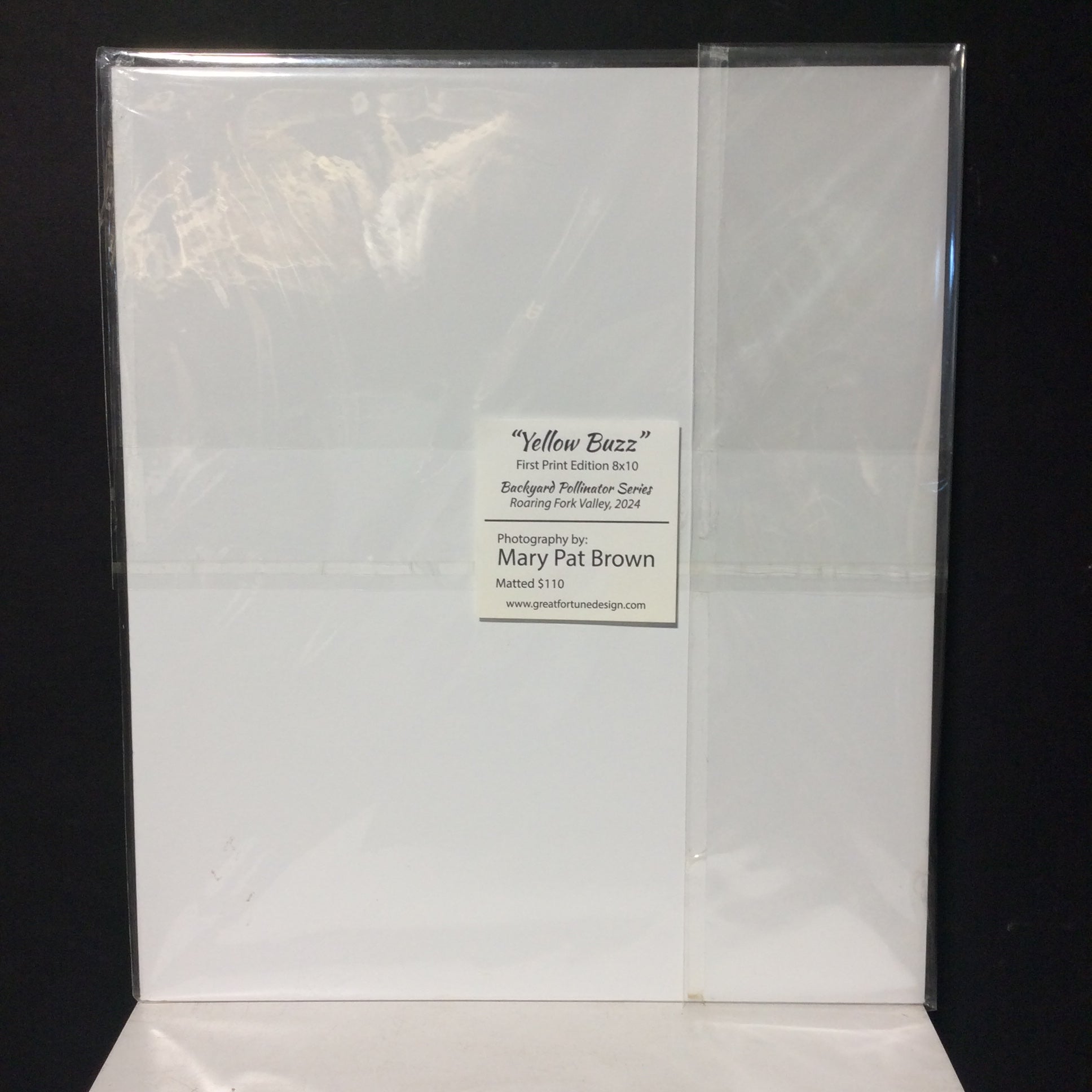 Matted W/Out Frame Signed "Yellow Buzz" Honey Bee On Flower Photograph 12" x 14"