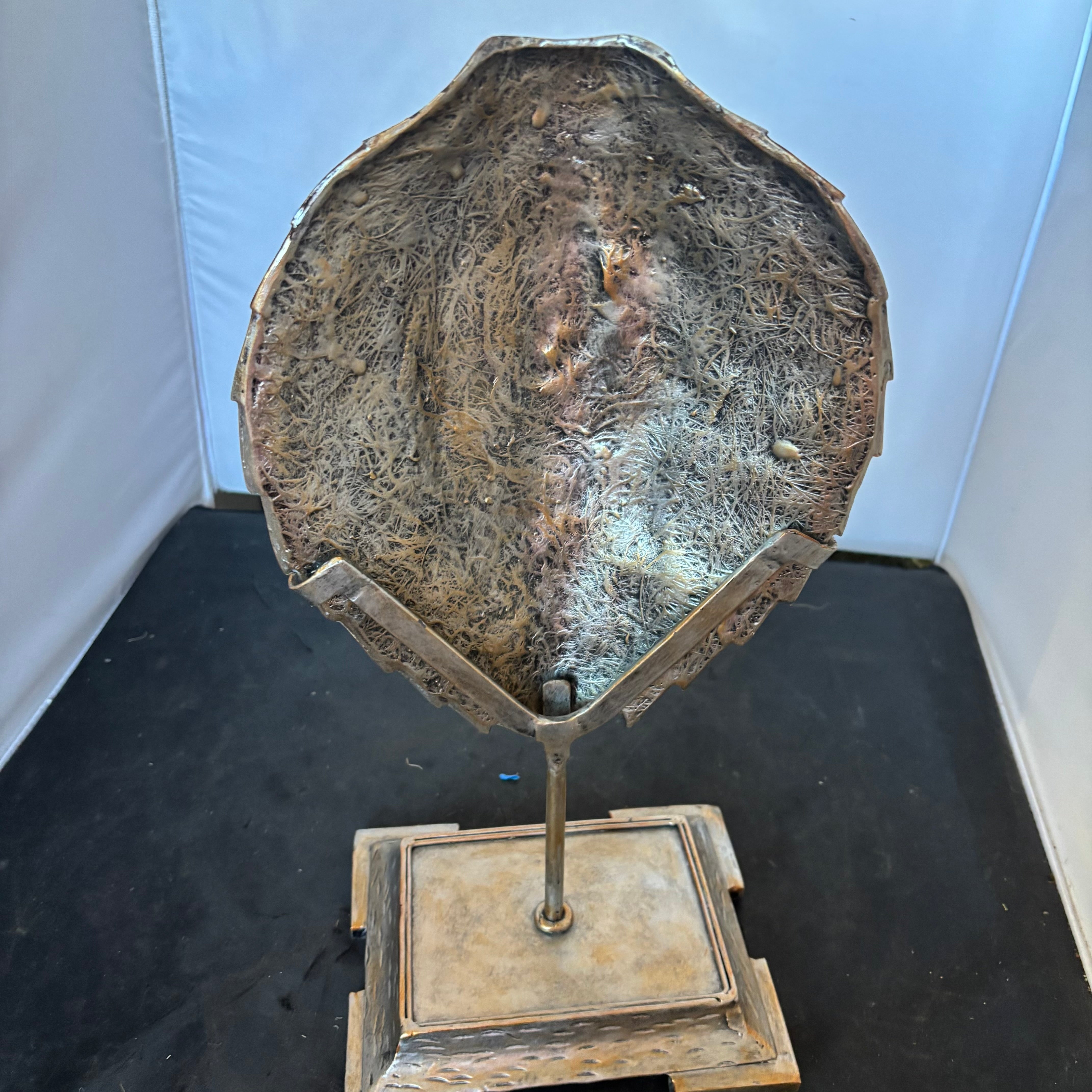 Decorative Detailed Faux Turtle Shell on Metal Stand, 8" x 17"