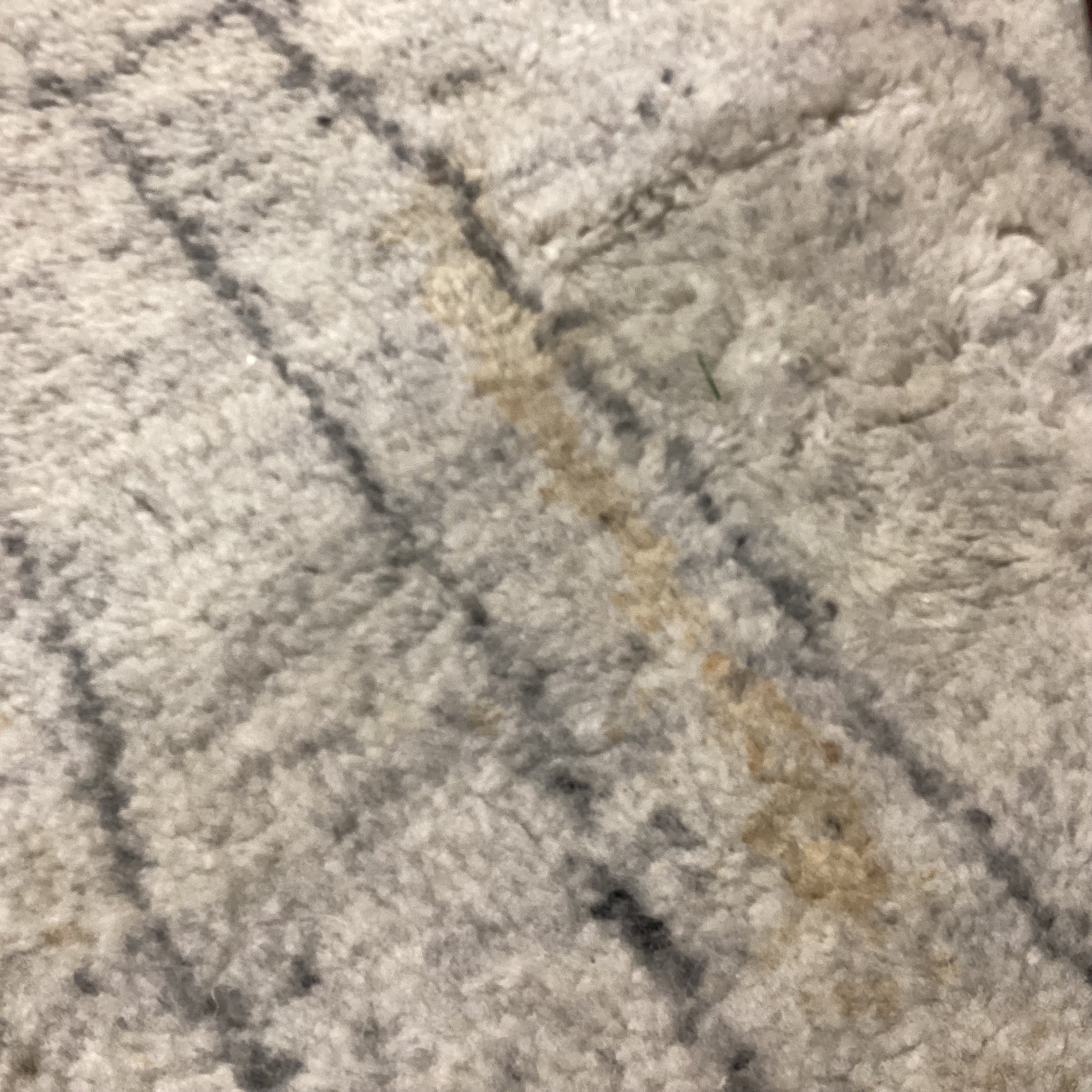 Cream & Grey Hand Woven Wool Rug 12'x 15'