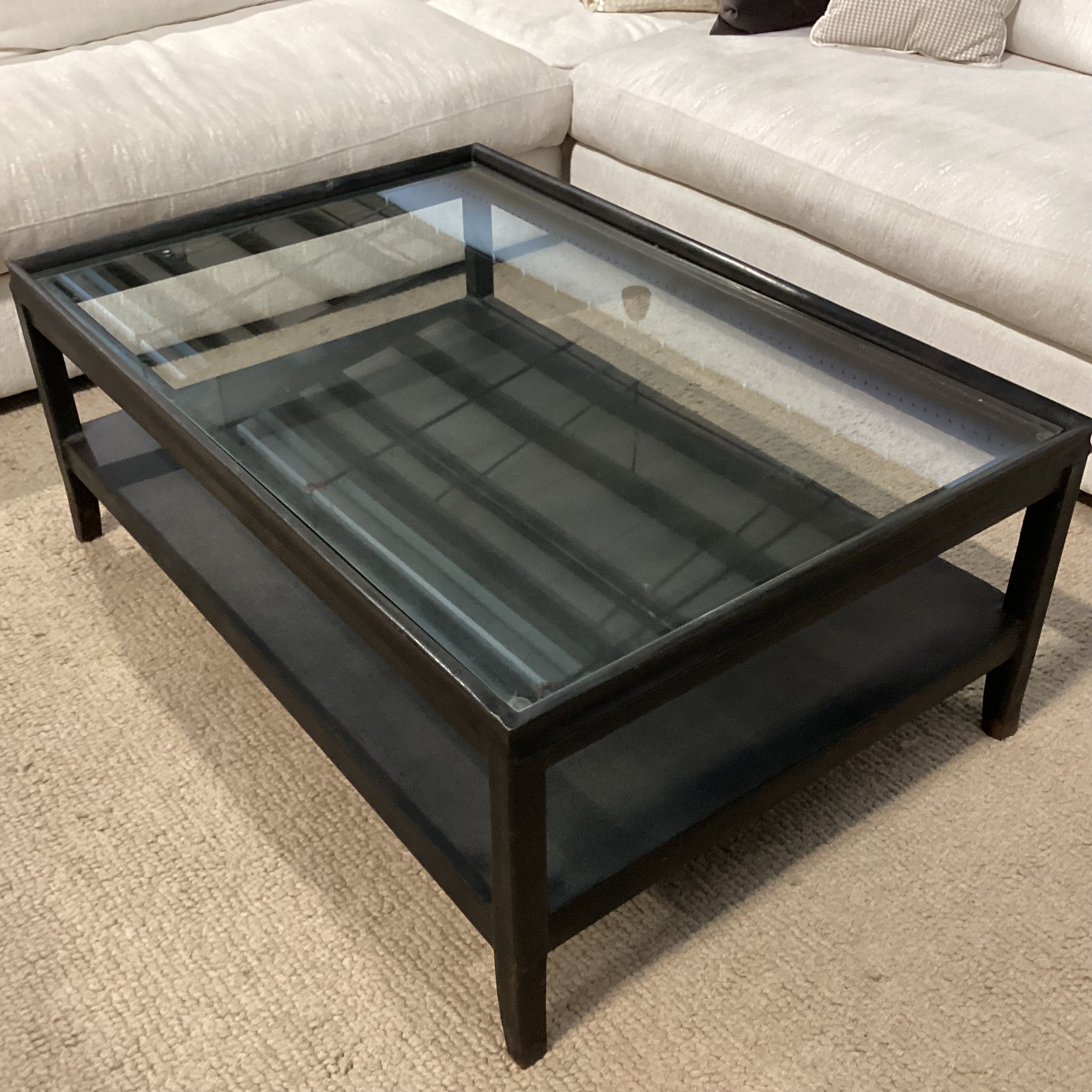 Industrial Modern Black Textured Iron & Glass 2 Tiered Coffee Table 48"x 32"x 18.5"