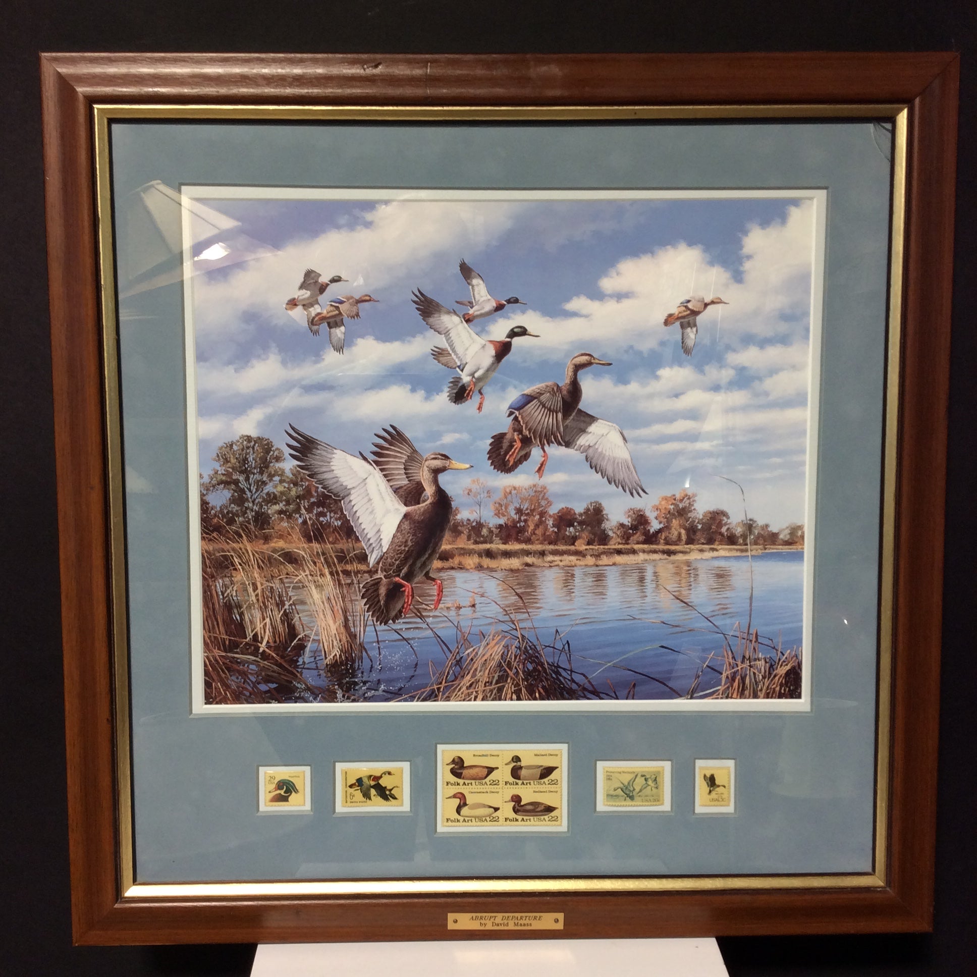 David A. Maass Limited Edition "Abrupt Departure" Print With Duck Stamps In A Wooden Frame 22 3/4" x 22 3/4"