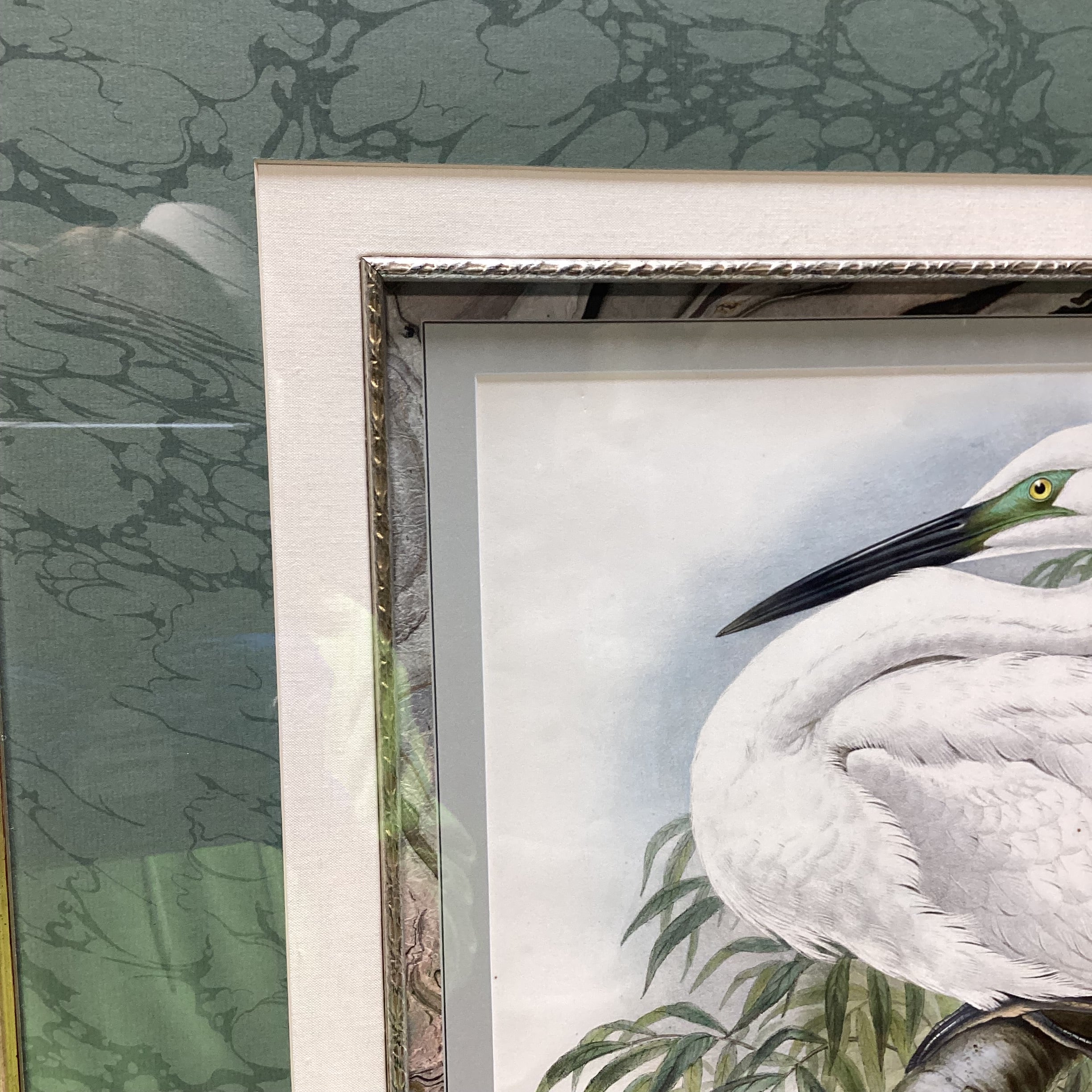 Henry Constanine Richter "Great White Egret" Hand Colored Lithograph 38" x 31"